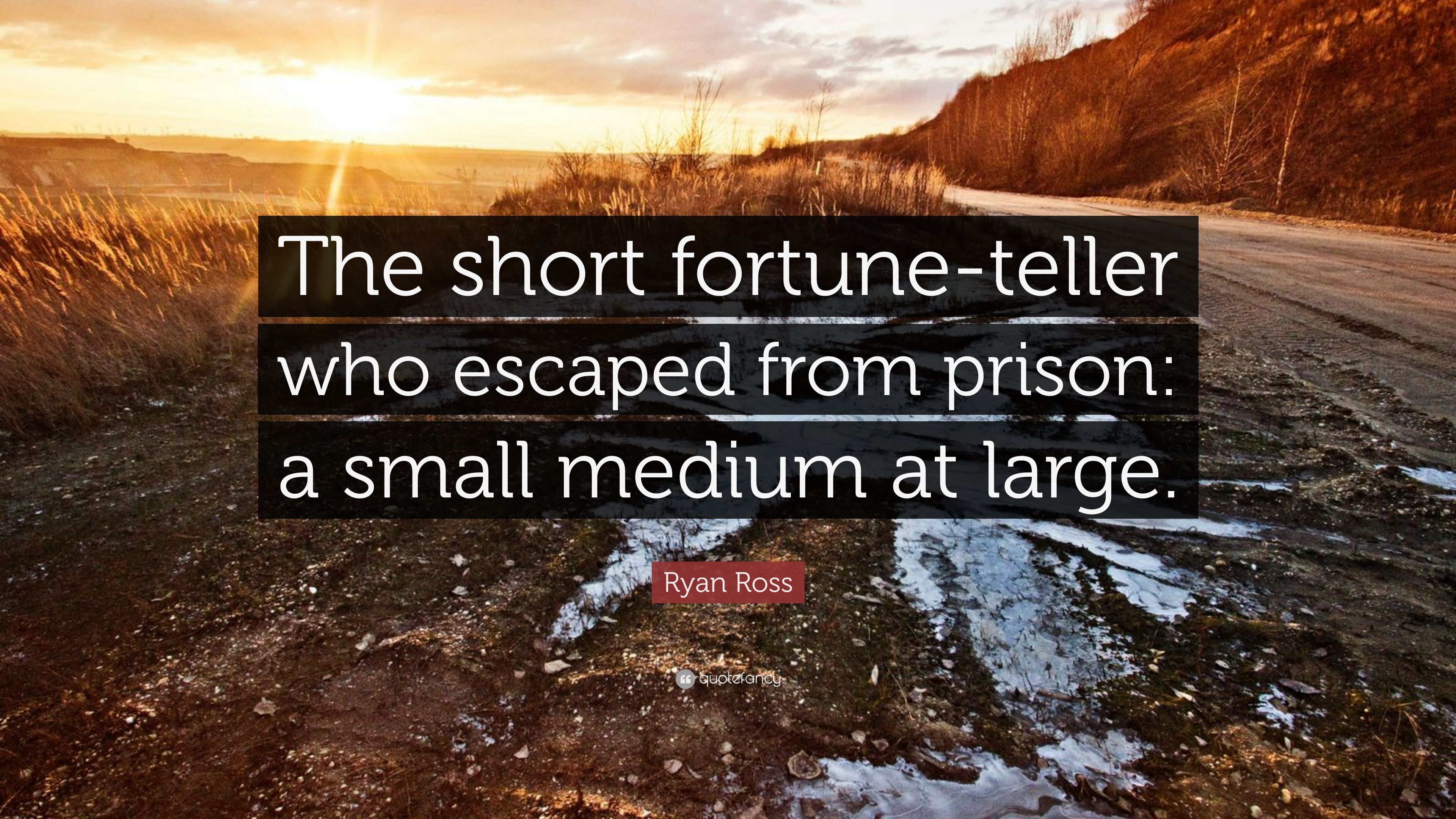 Ryan Ross Quote: “The Short Fortune Teller Who Escaped From Prison