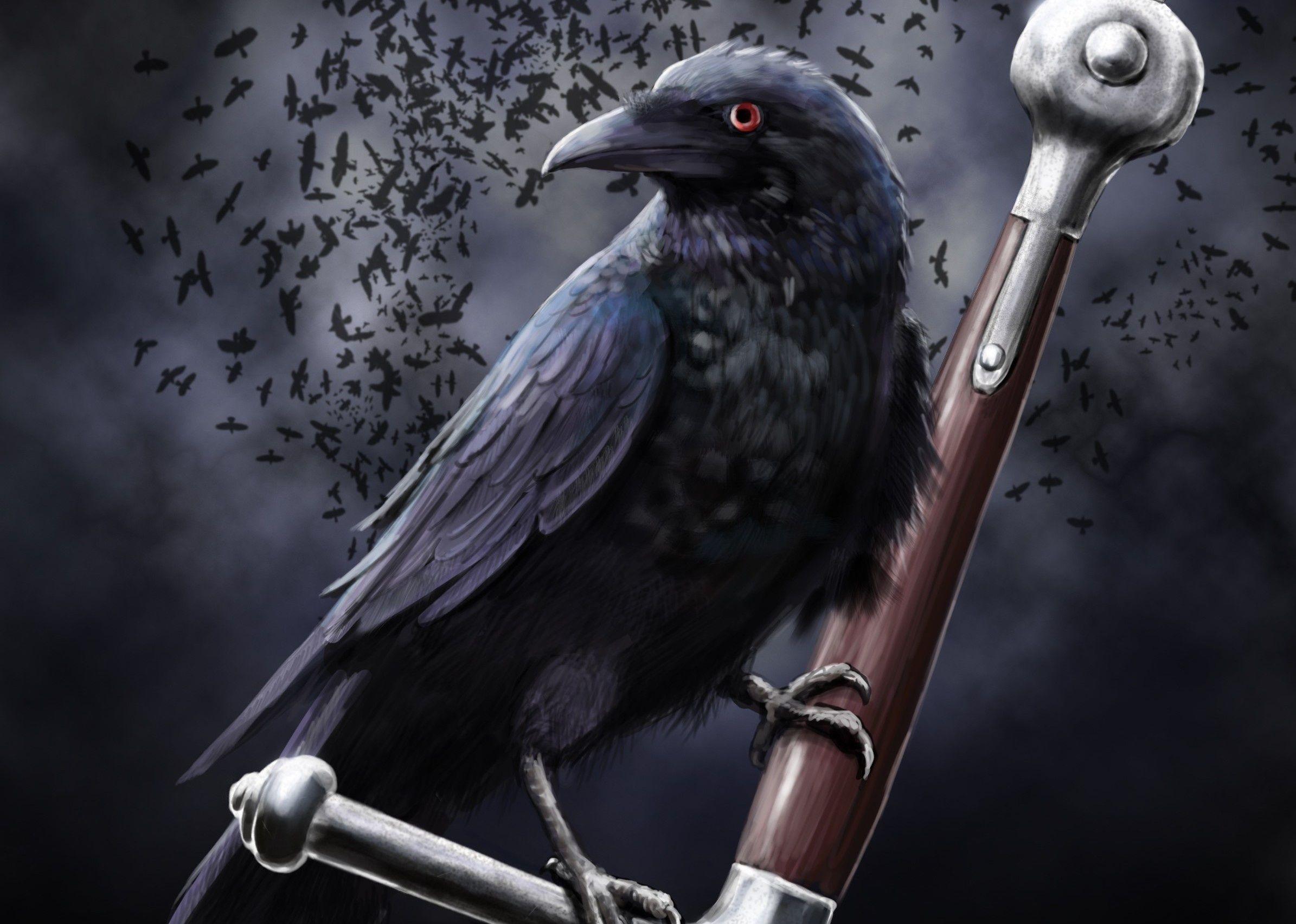 Evil Crow HD Wallpaper, Background Image