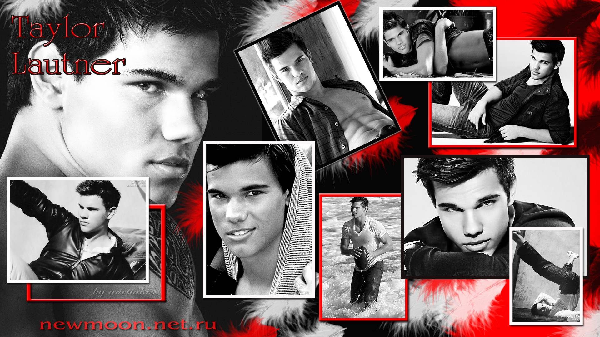 Taylor Lautner