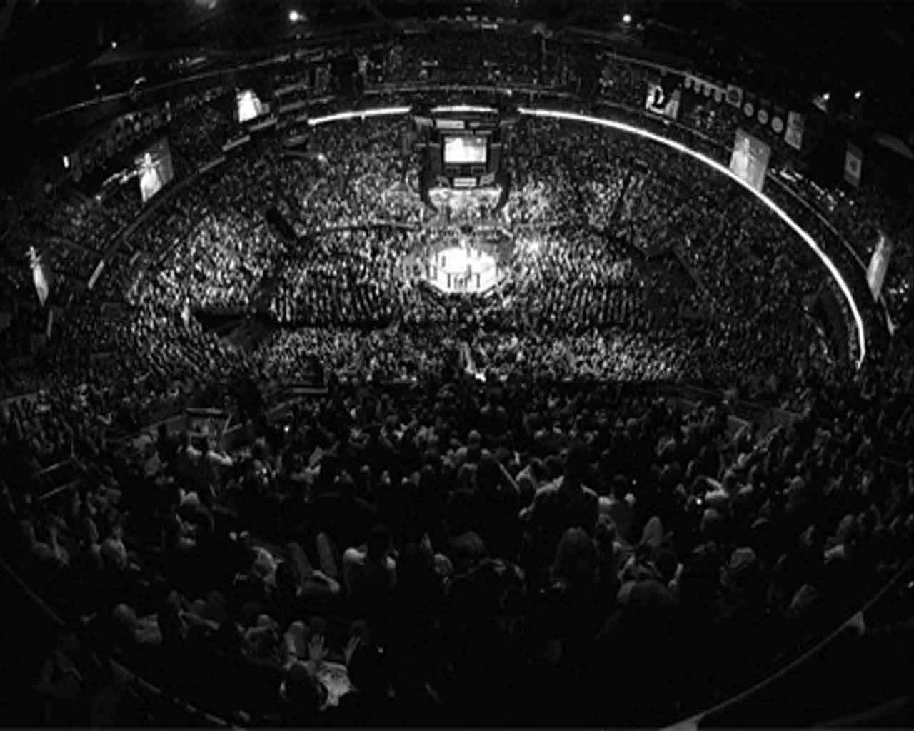 My Story - Learn MMA. MMA Training, MMA Techniques and UFC Fighter