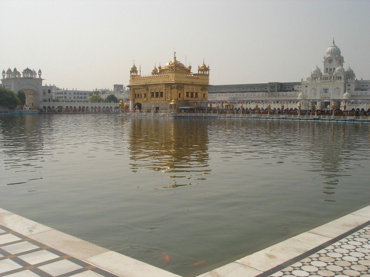 Harminder Tag wallpaper: Golden Temple Amritsar Punjab India