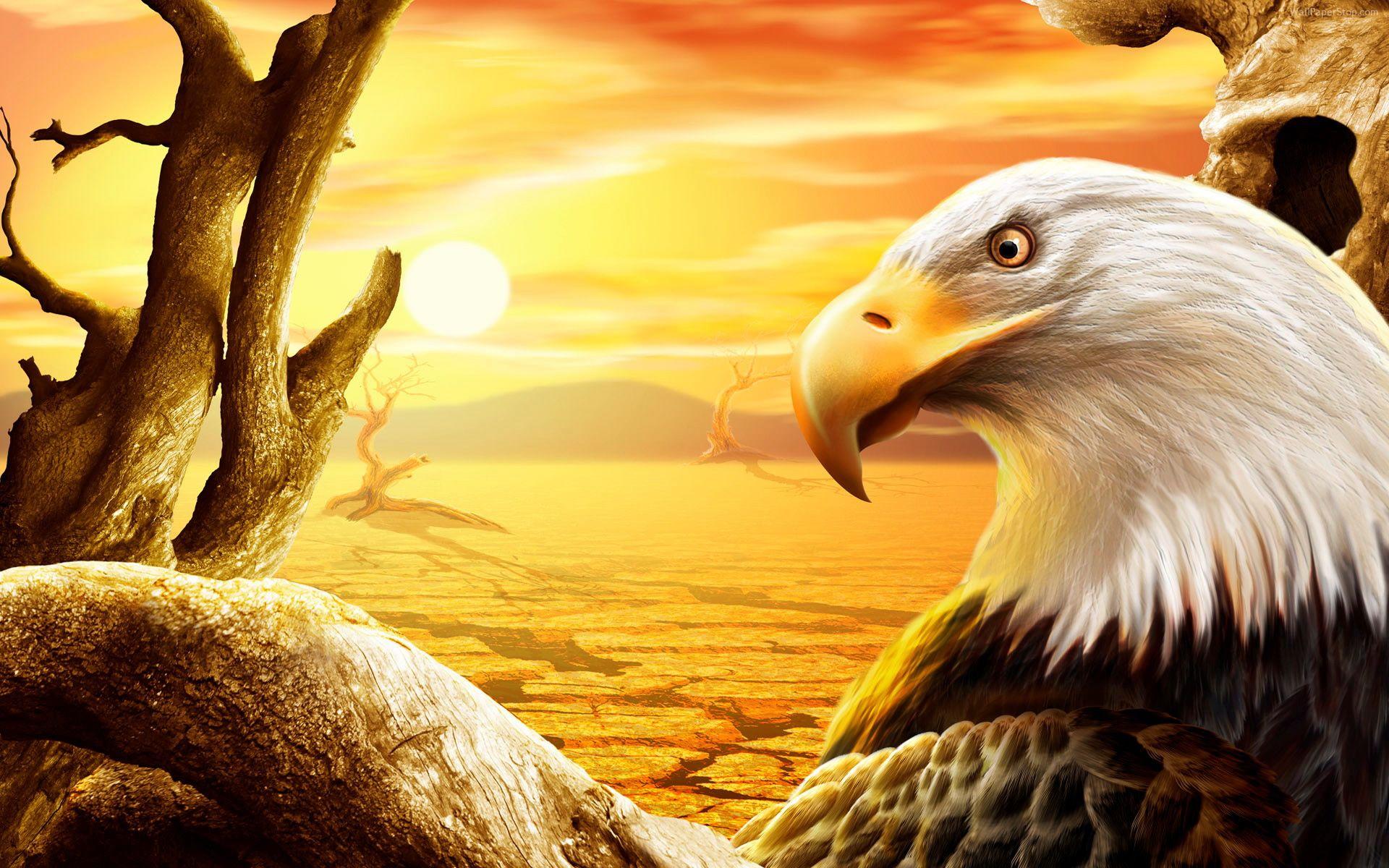 Eagle 3D Animal HD Wallpaper Desktop Wallpaper. MoshLab