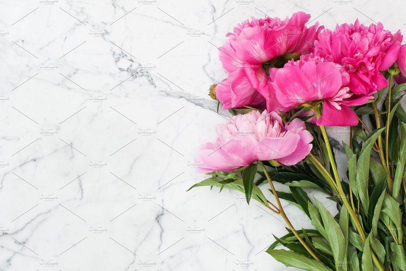 Pink peonies on white marble background Nature Photo Creative