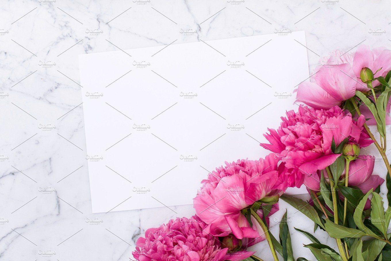 Pink peonies on white marble background Nature Photo Creative