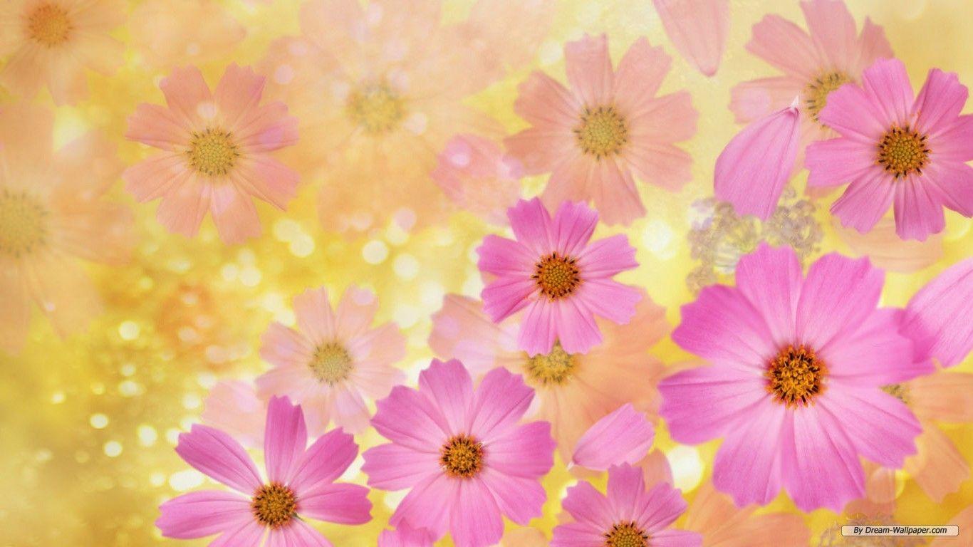 35+ Abstract Floral Wallpapers: HD, 4K, 5K for PC and Mobile | Download  free images for iPhone, Android