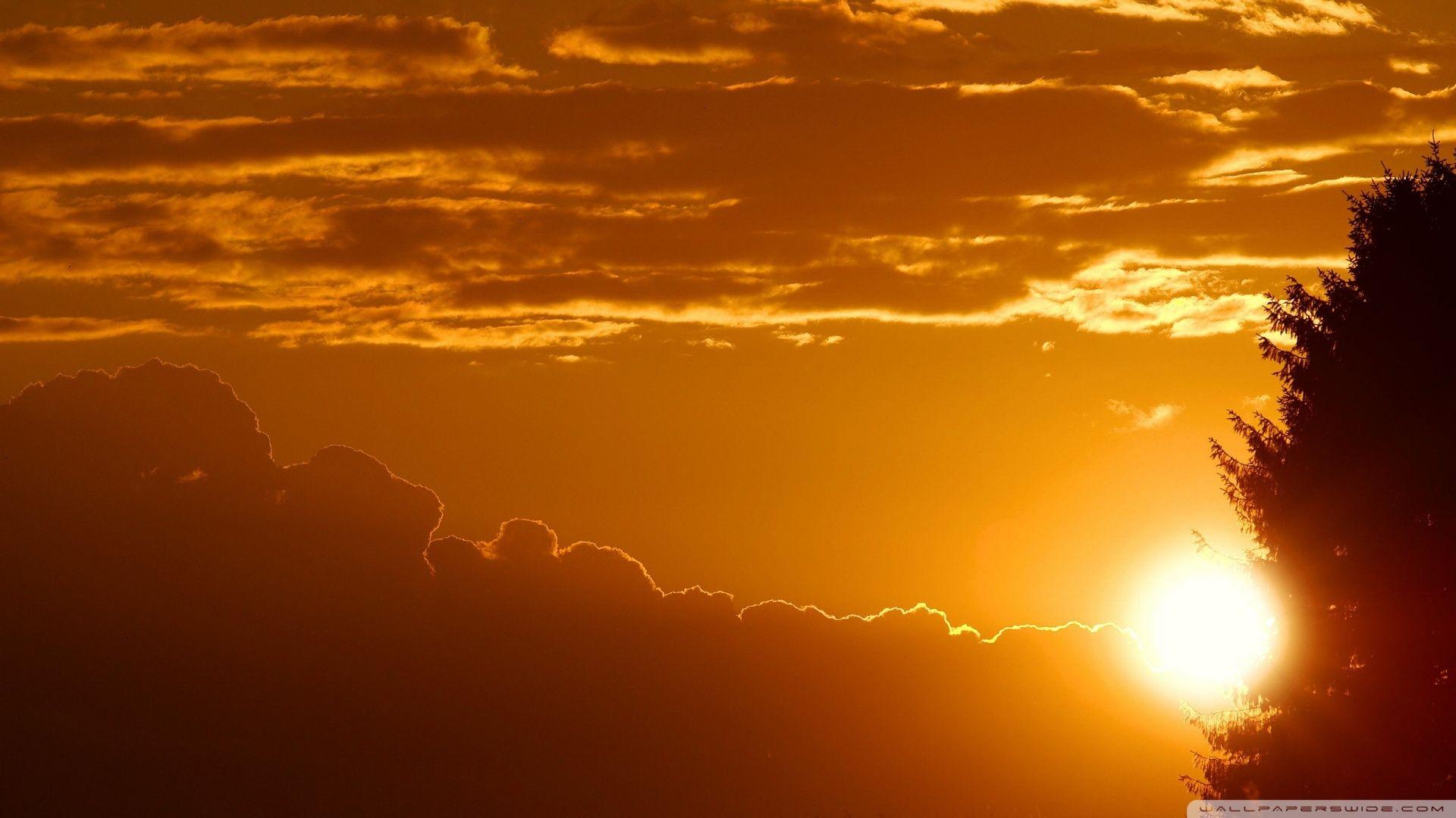 The Rays Of The Setting Sun Sundown ❤ 4K HD Desktop Wallpaper