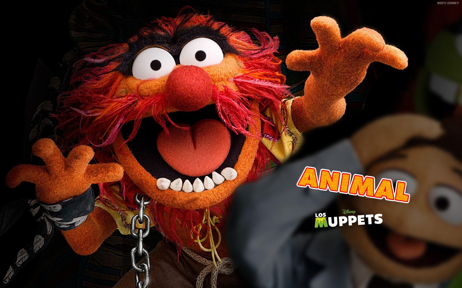 the muppet show Full HD Wallpaper and Background Imagex1200
