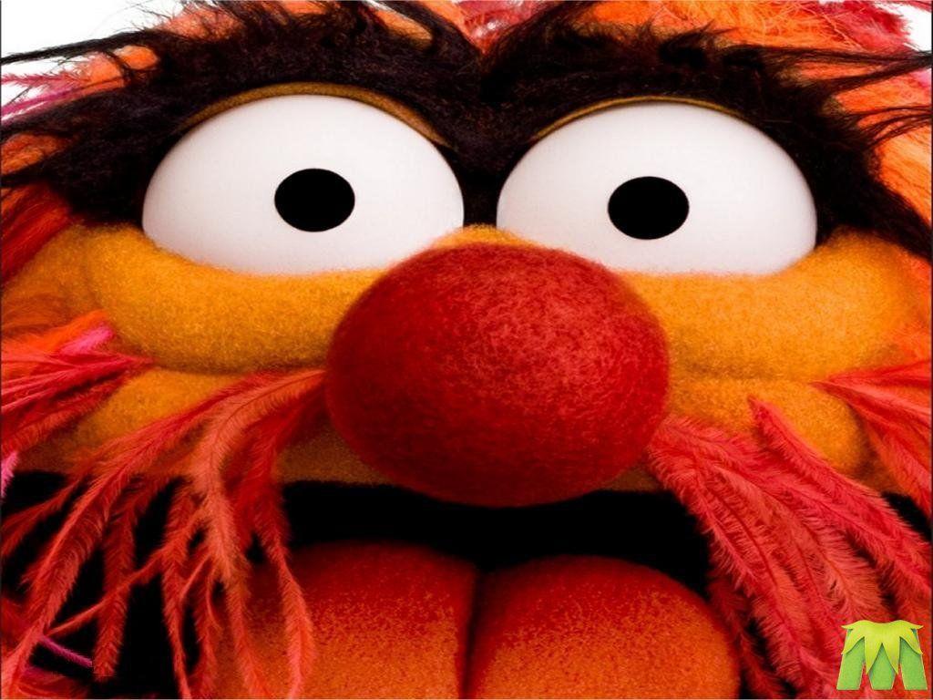 the muppets. The Muppets: Cranky Critic® Movie Wallpaper Downloads