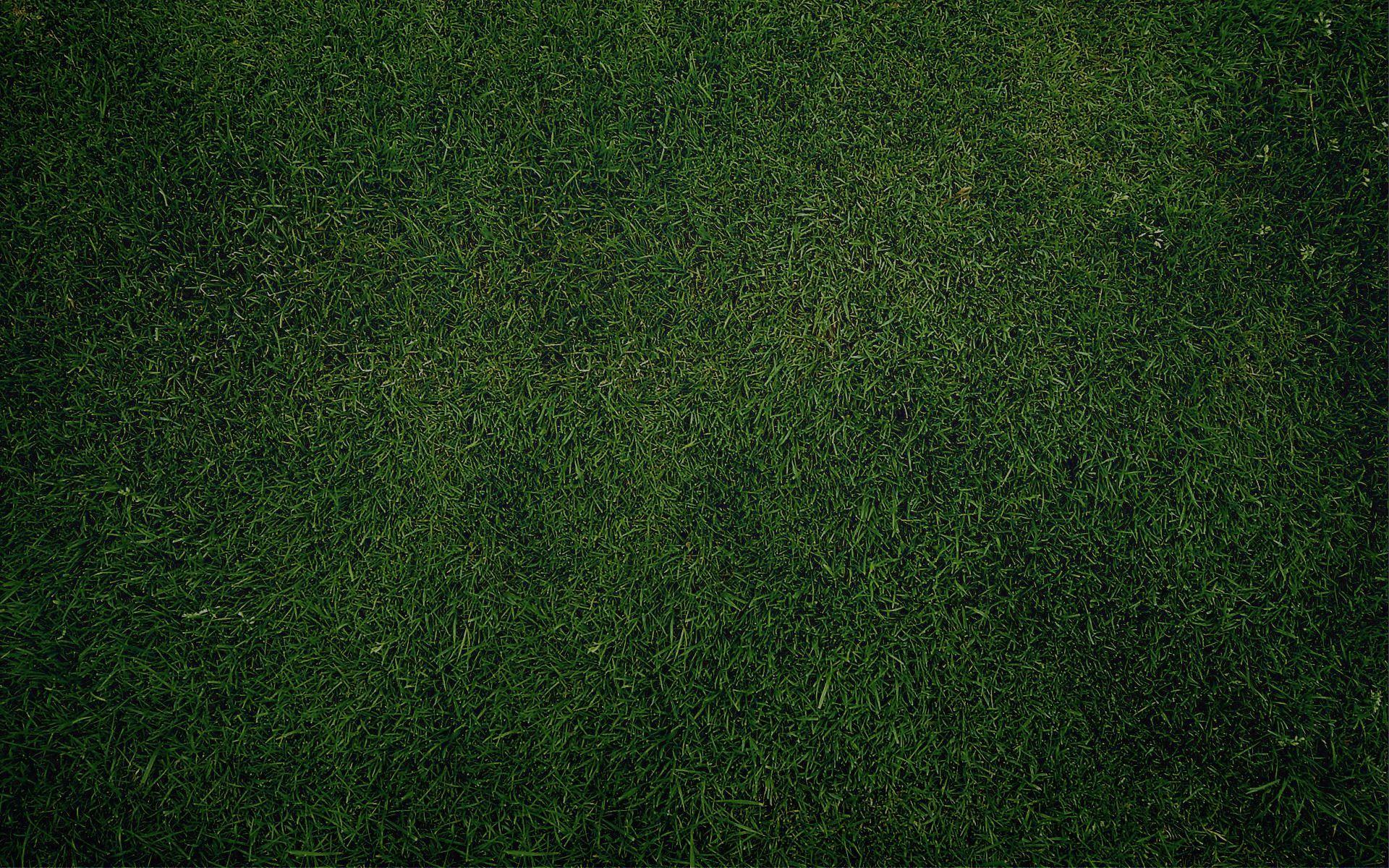 green grass, texture, background, download. Look at that fine piece