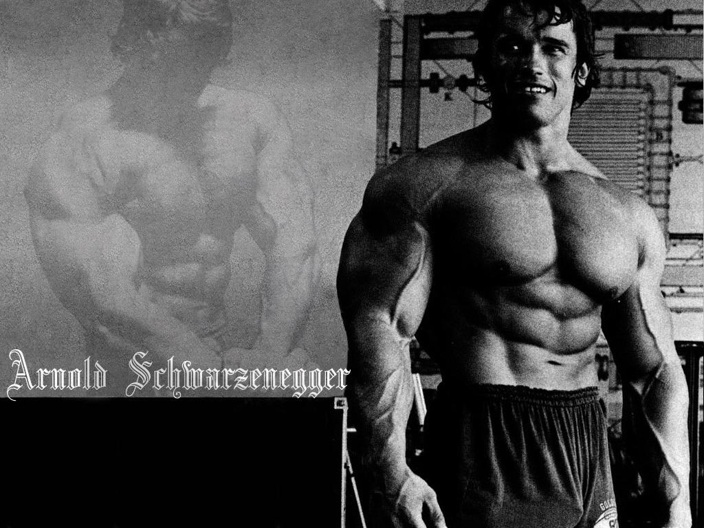Arnold Schwarzenegger Bodybuilding Wallpapers Posters And Pictures HD