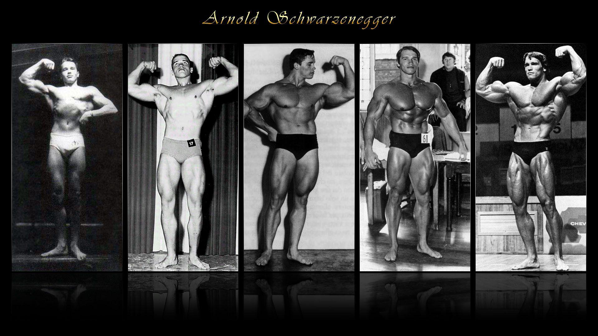 Arnold Schwarzenegger Bodybuilding Wallpaper (Picture)