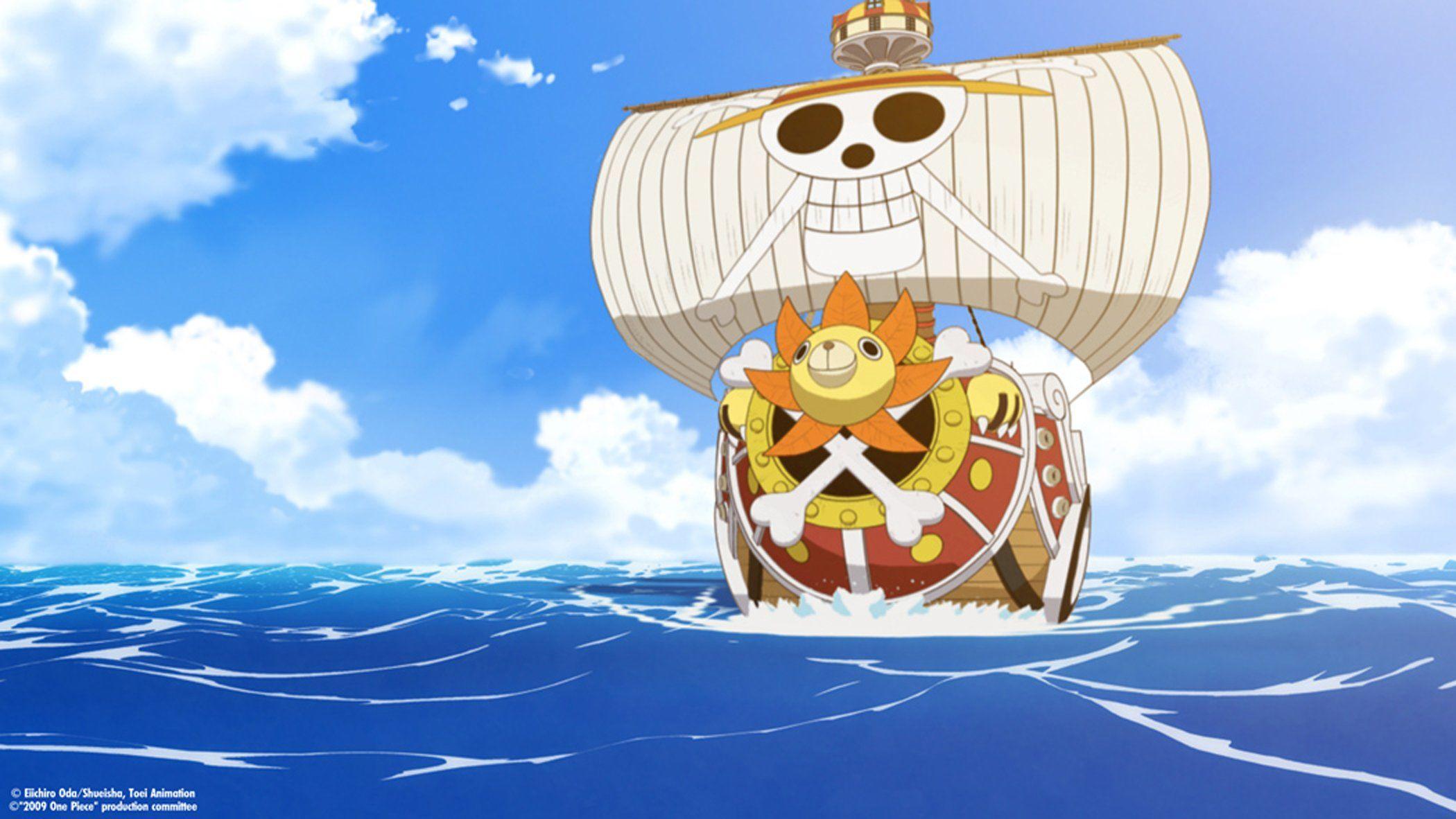 Thousand Sunny Wallpapers Wallpaper Cave