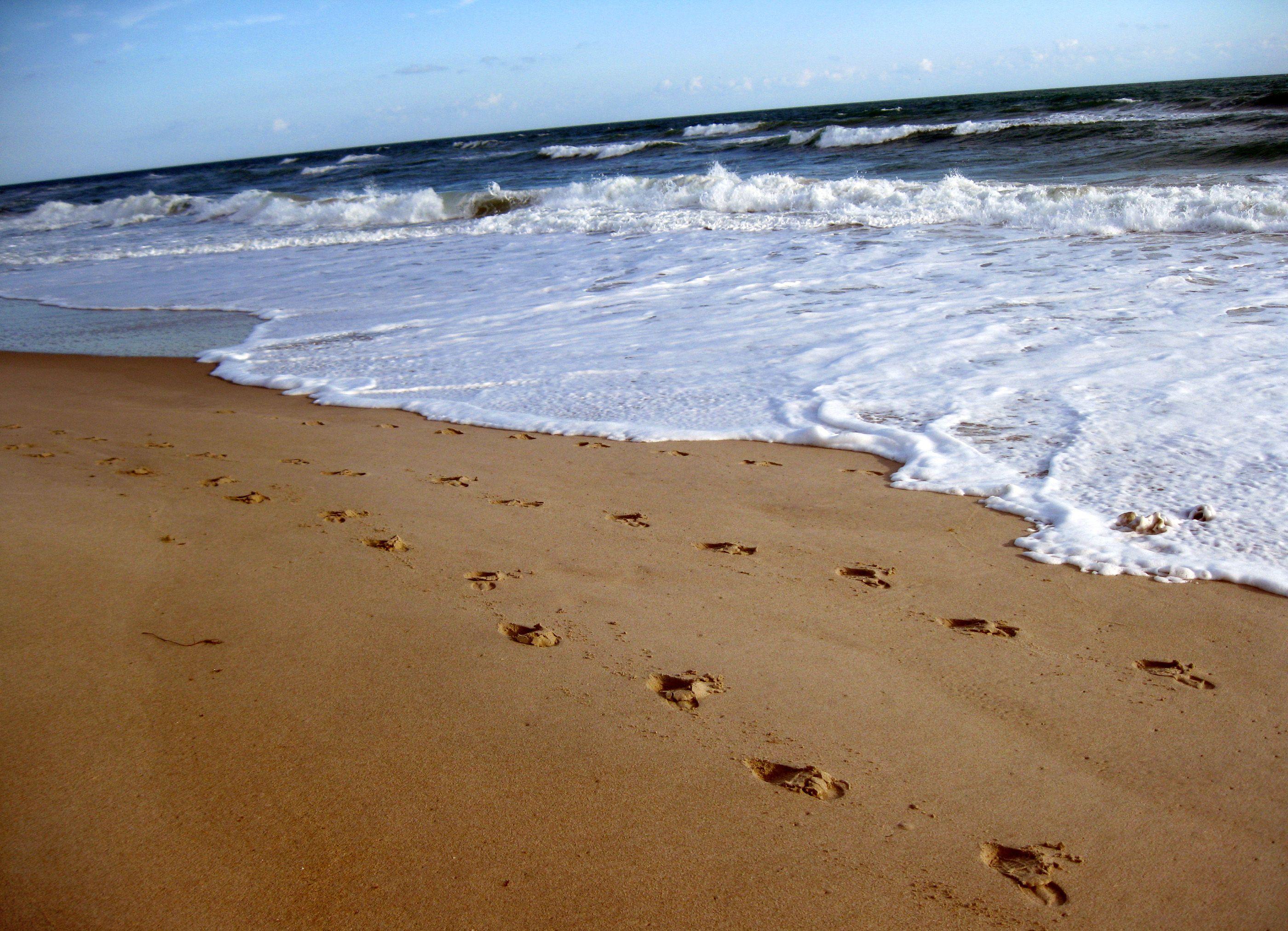 Beach Sand Footprints HD Wallpaper, Background Image