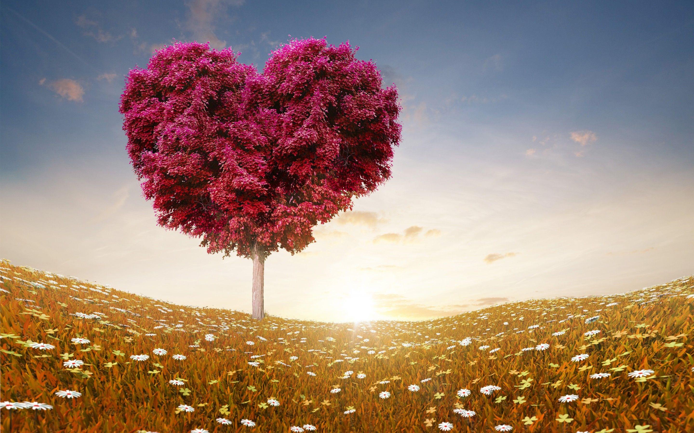 Love Heart Tree 540x960 Resolution HD 4k Wallpaper, Image