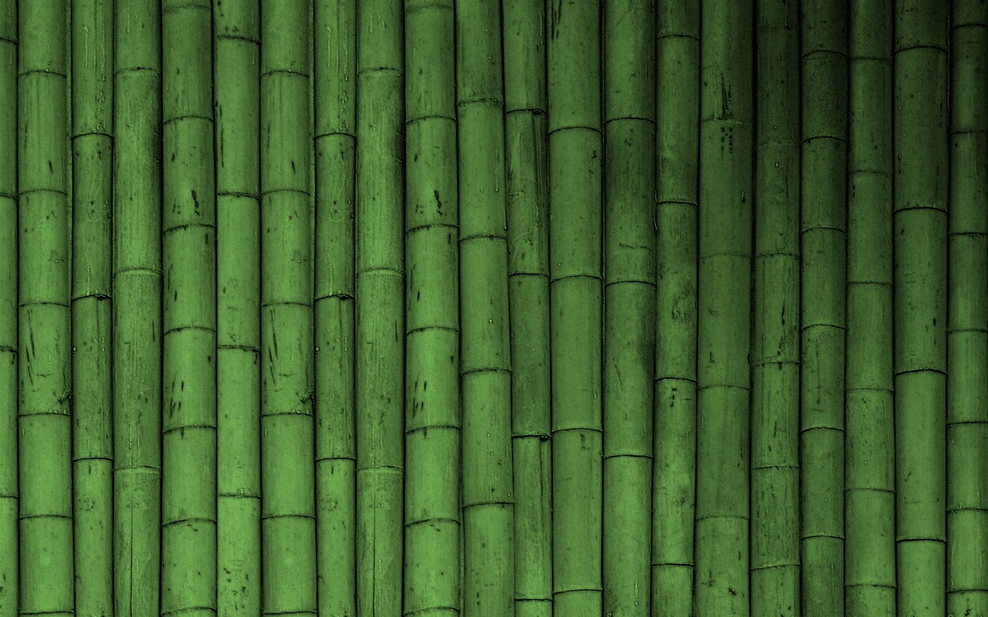 Bamboo Wallpaper