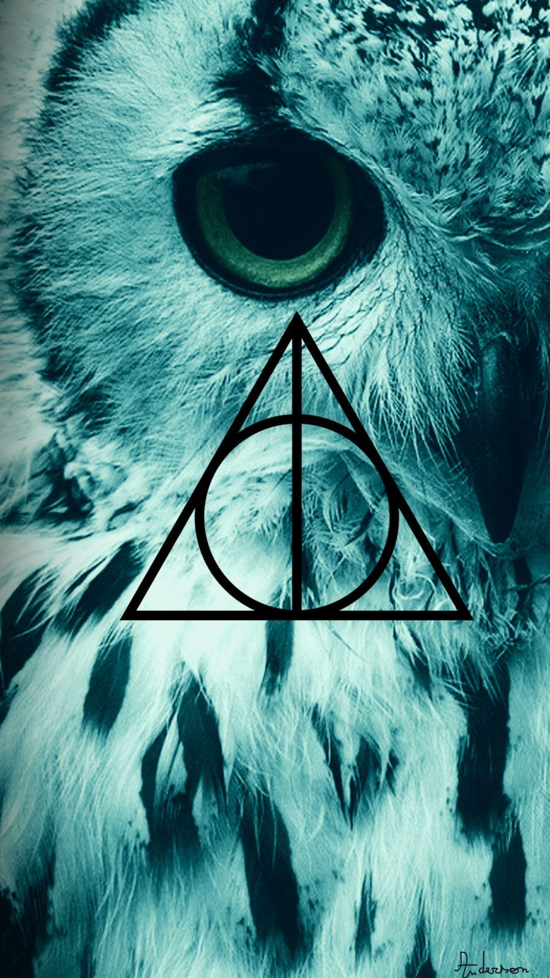 Edwiges, Harry Potter. Harry Potter. Harry potter
