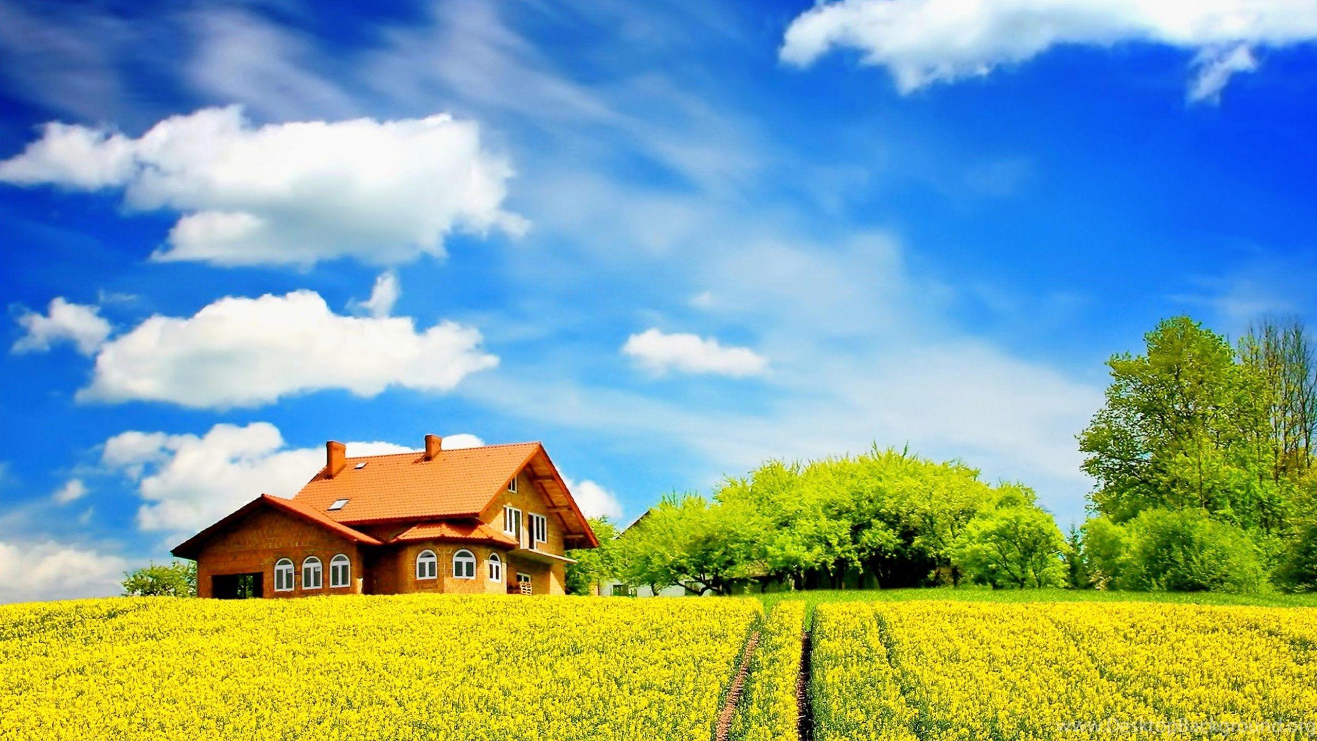 Sunny Bright Day Wallpaper Desktop Background