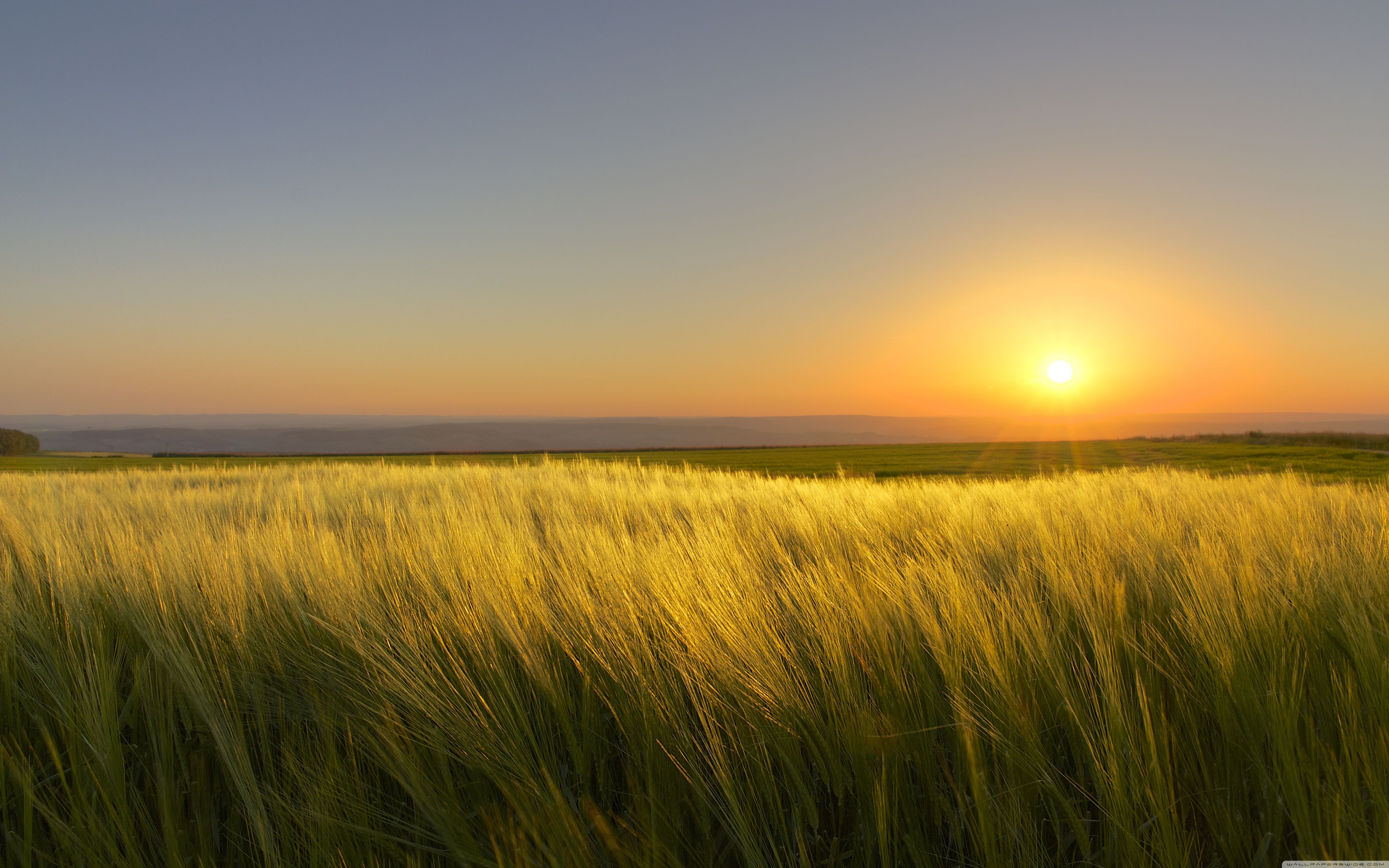 A Sunny Day's End ❤ 4K HD Desktop Wallpaper for • Dual Monitor