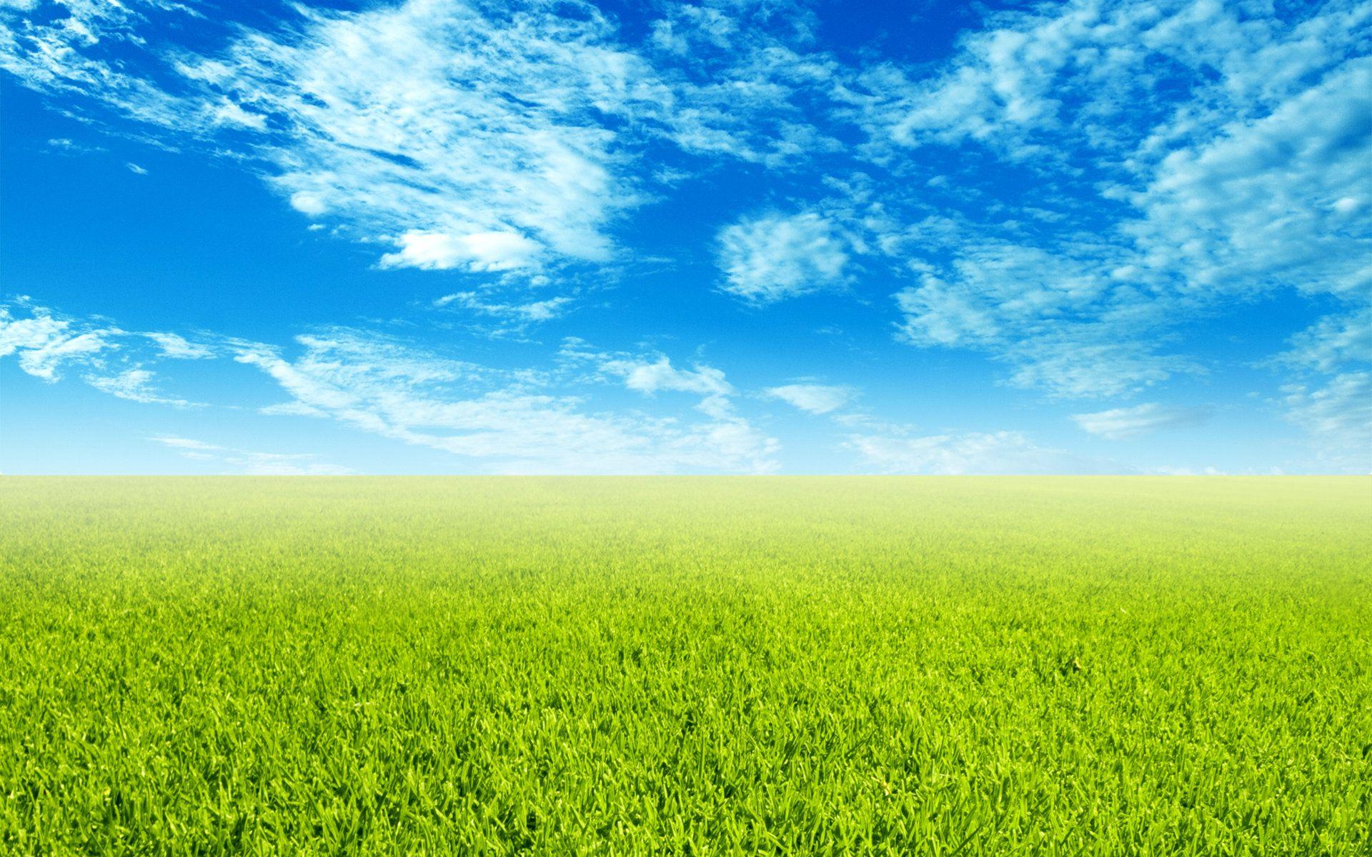 Grass Landscape Background