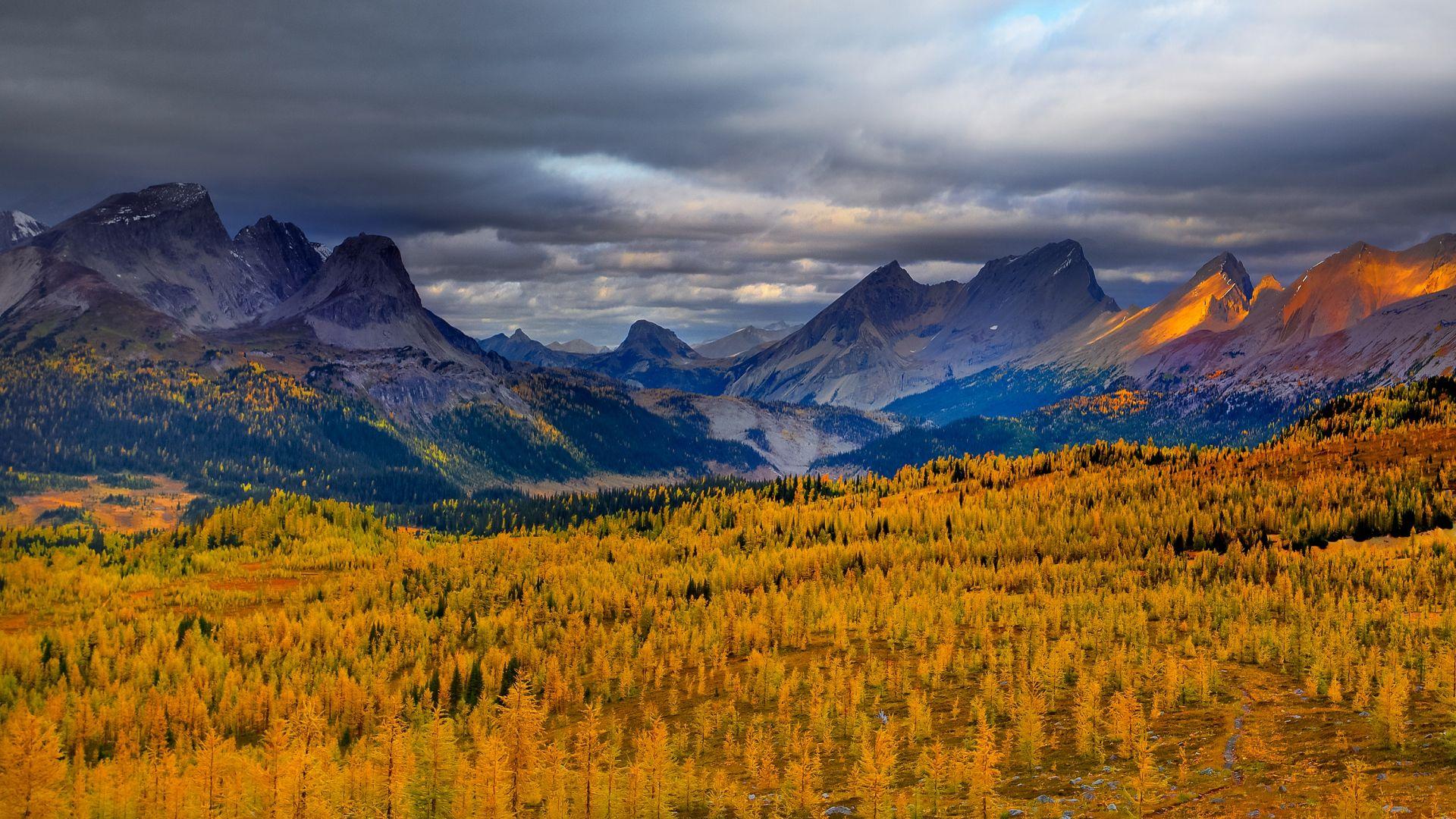 Download Landscape Background