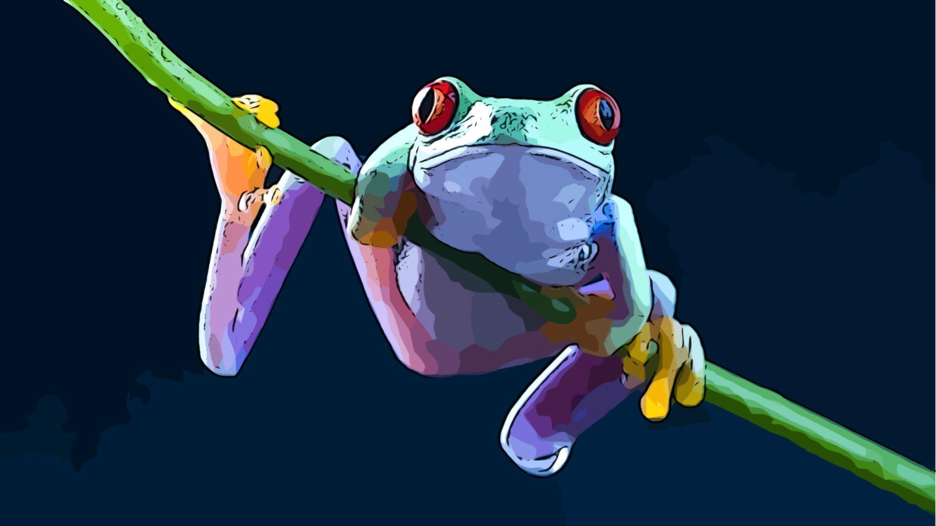 Free download Tree Frog wallpaper full HD 1080p for desktop