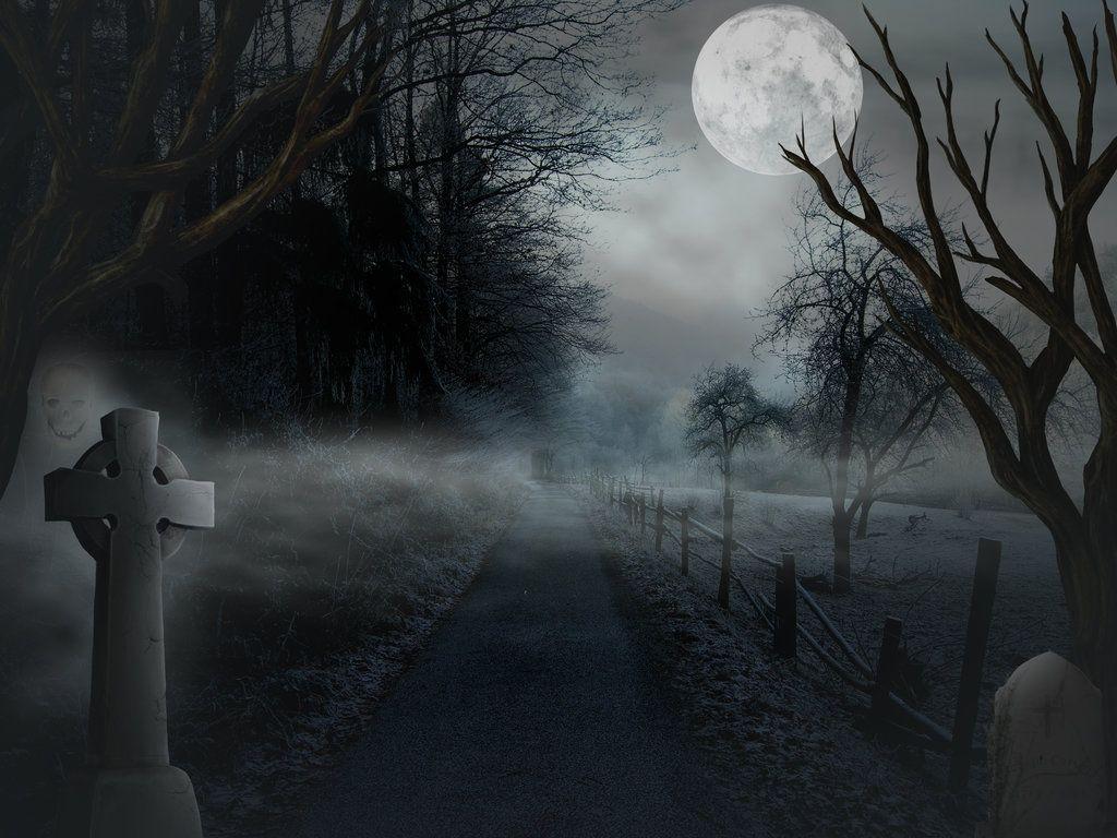 Haunted Woods background free stock