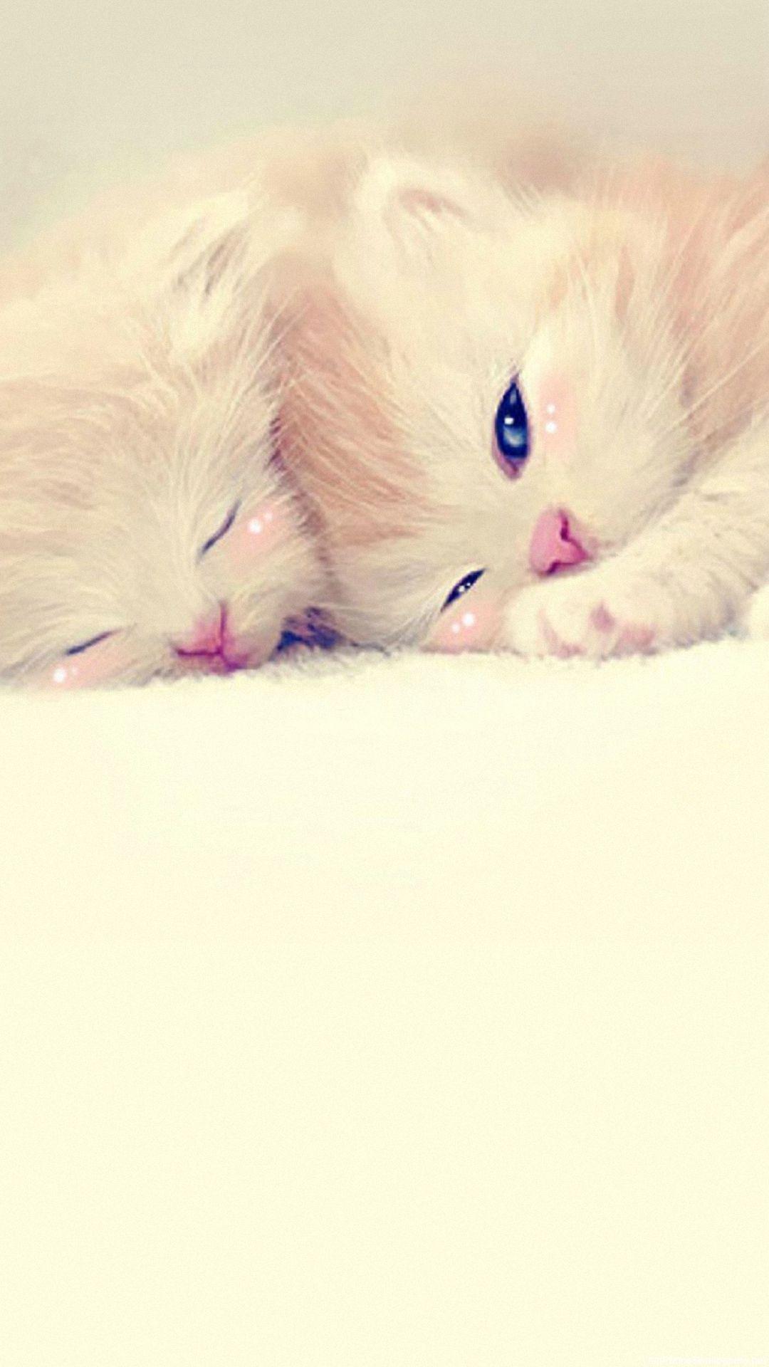 Cute Love Wallpapers For Iphone Wallpaper Cave