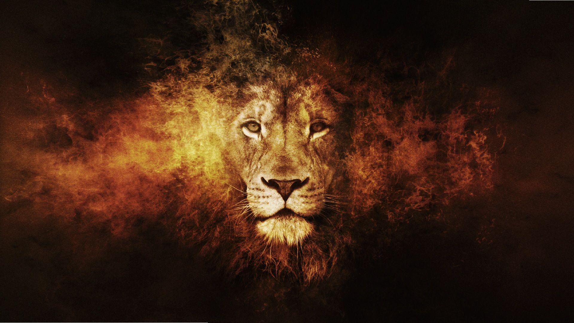 Abstract Lion HD Wallpaper 13