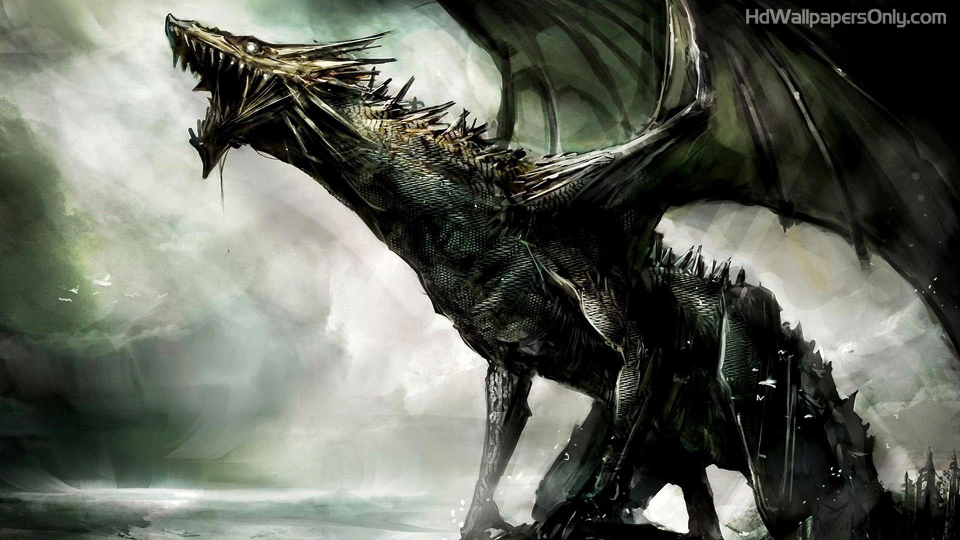 Dragon 1080p Wallpapers Wallpaper Cave