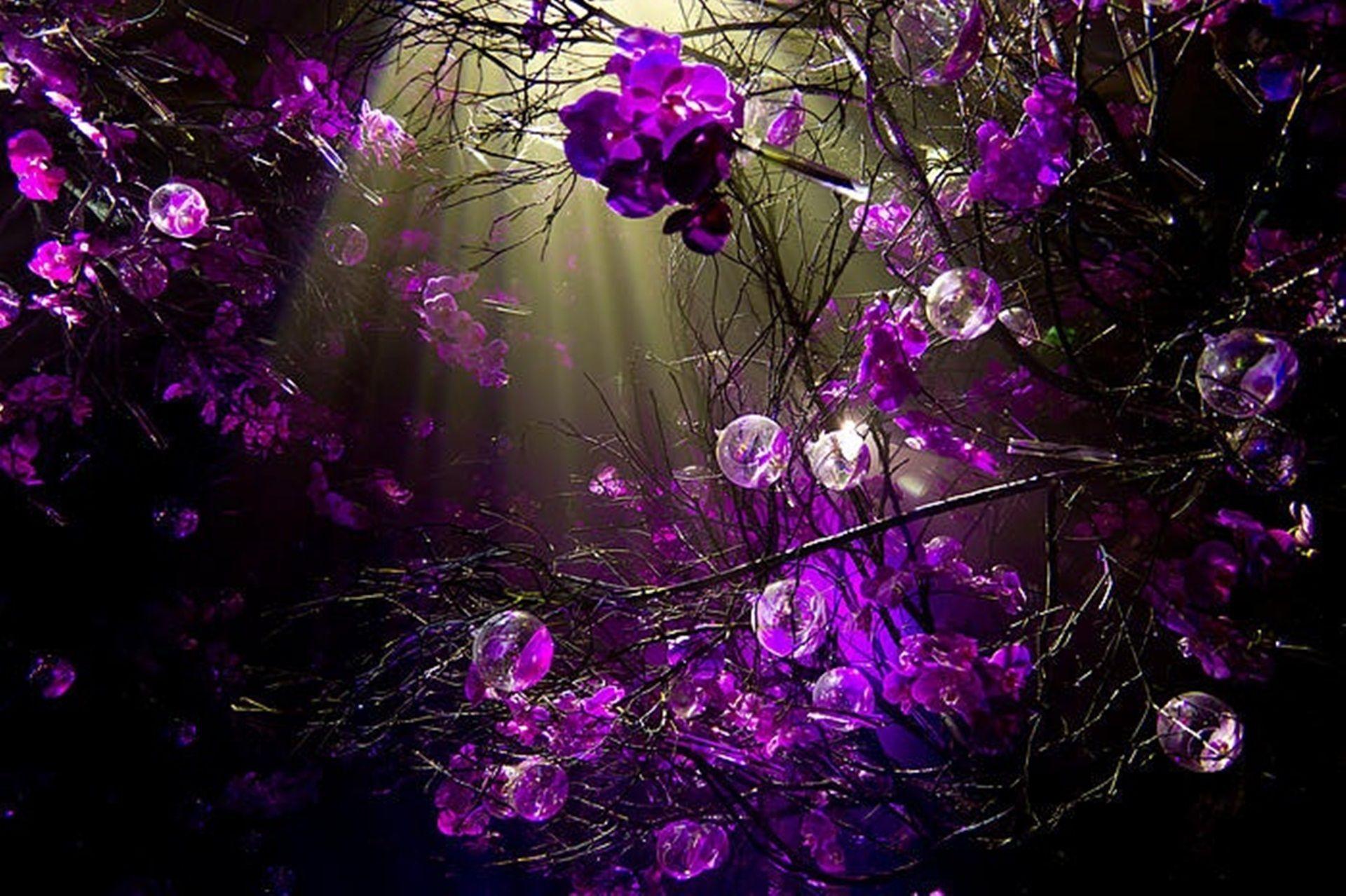 Desktop Backgrounds Purple Wallpaper Cave