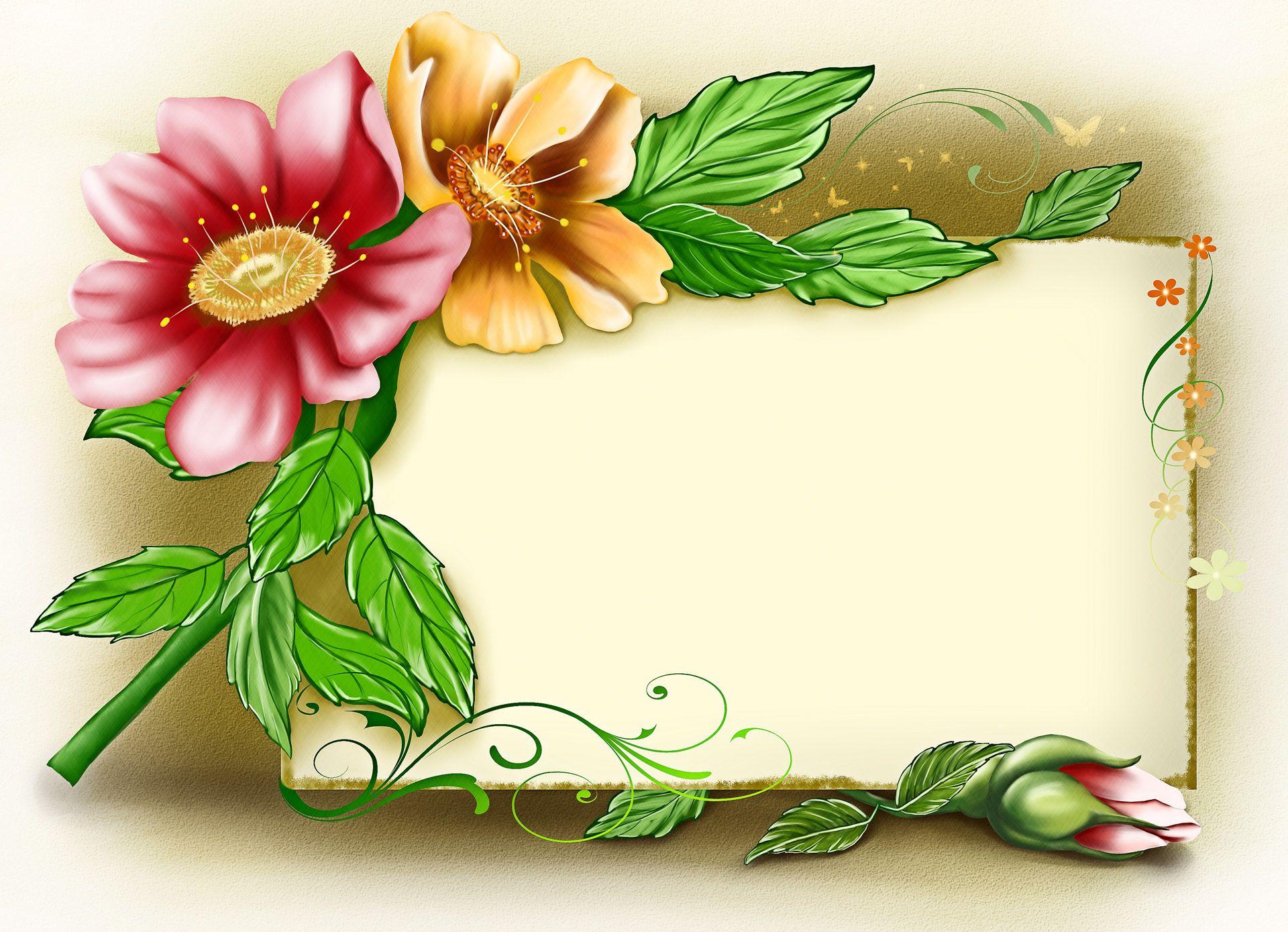 Backgrounds Image Flowers