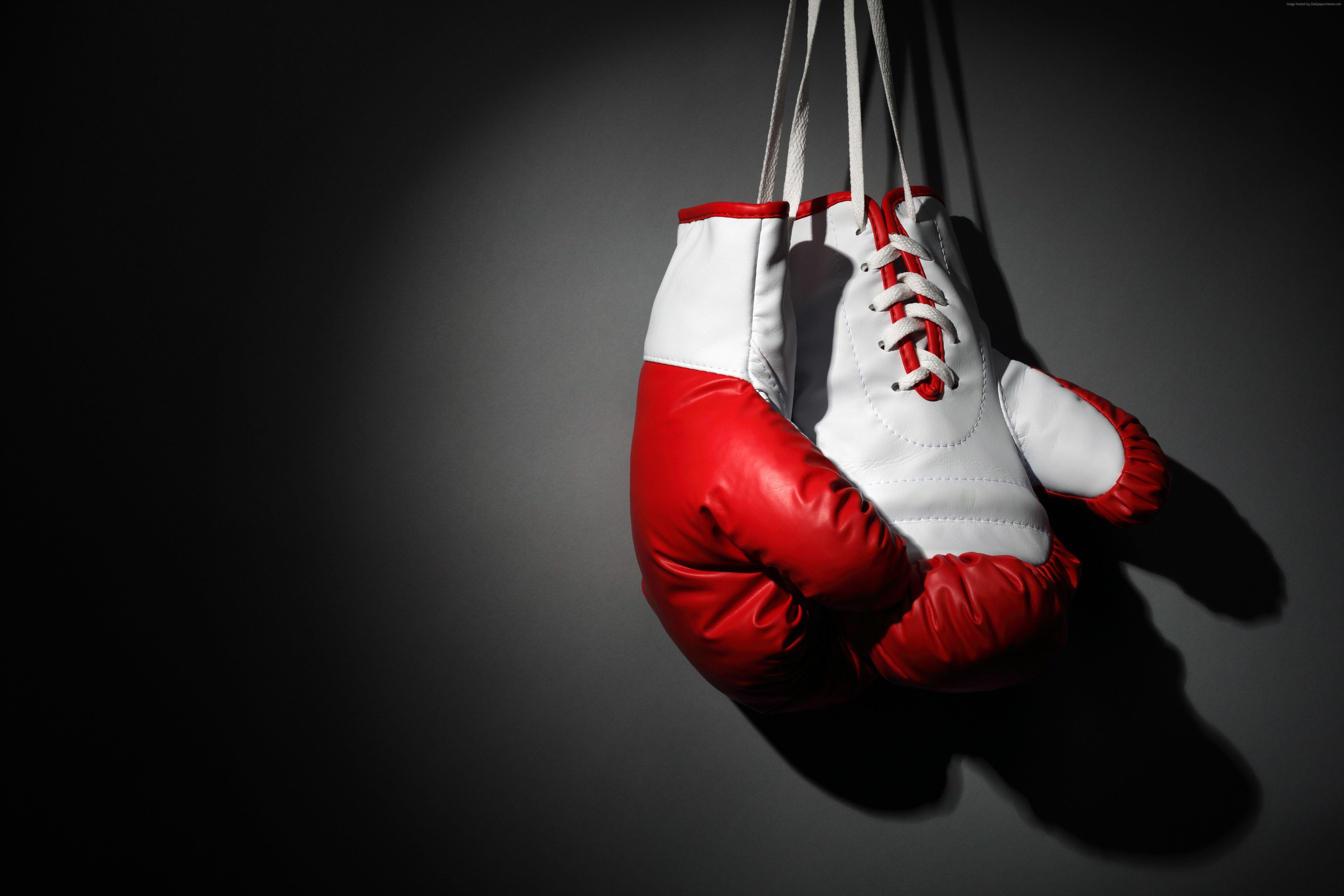 Wallpaper Boxing gloves, red, white, boxing, Sport