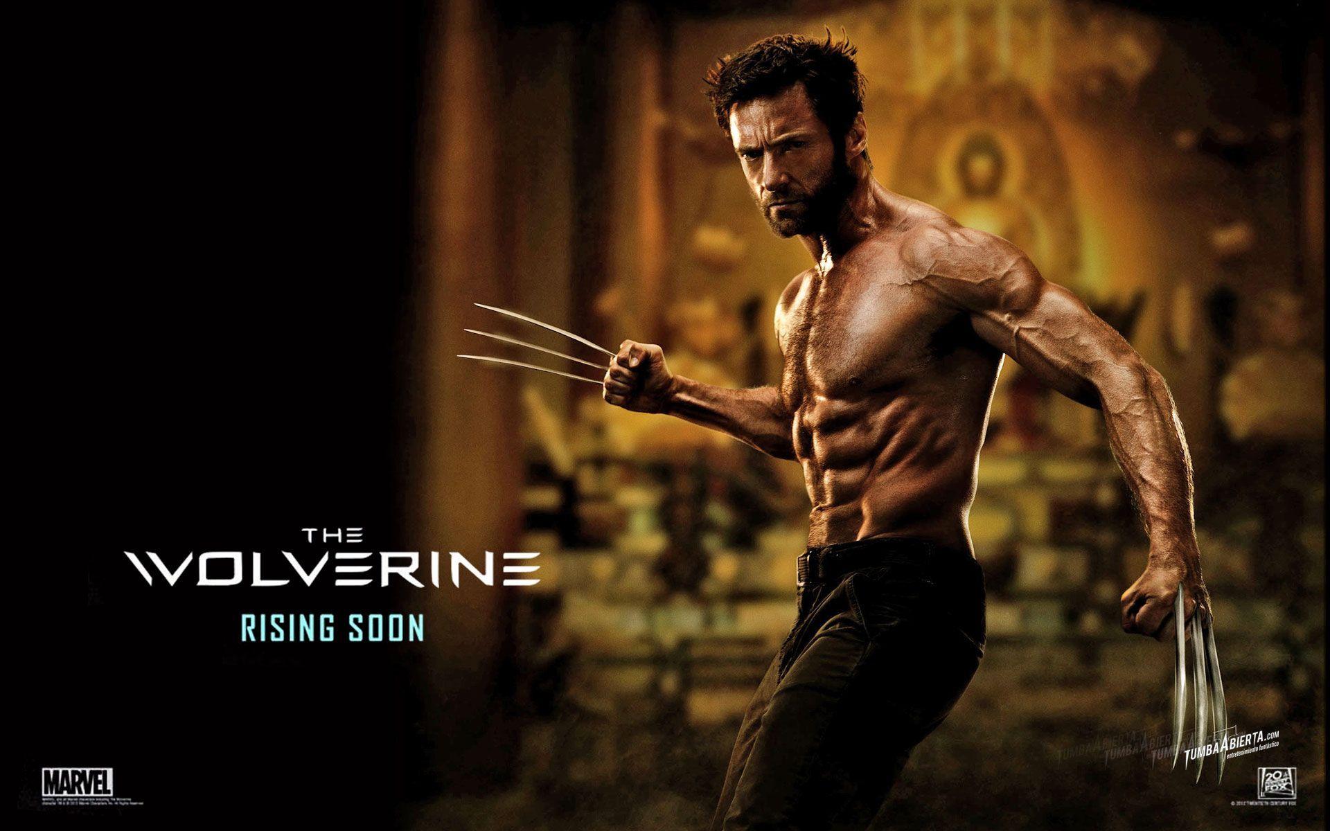 wolverine 2013 Wolverine Wallpaper Picture Photo Image