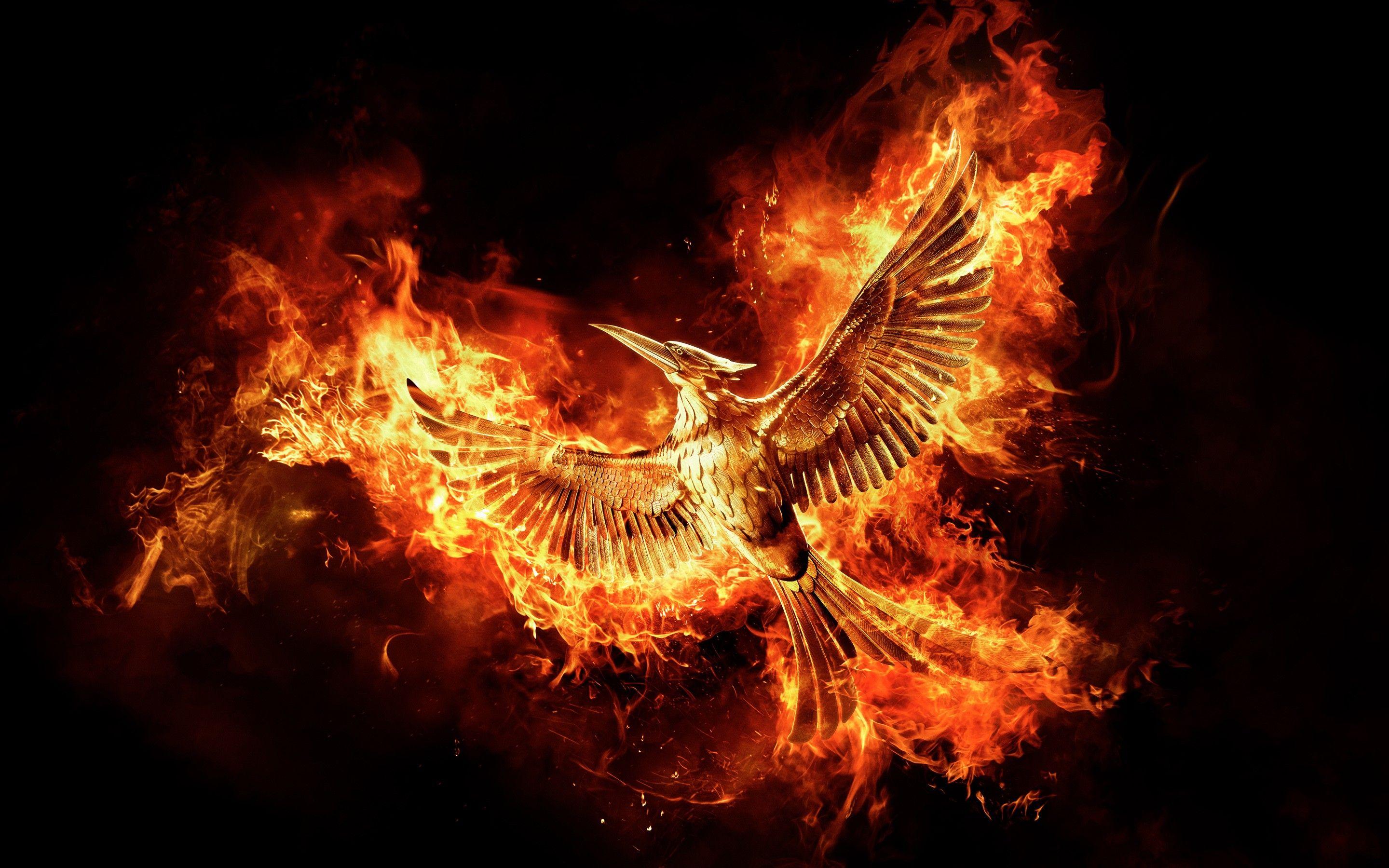 The Hunger Games MockingJay Part 2 Movie, HD Movies, 4k Wallpaper