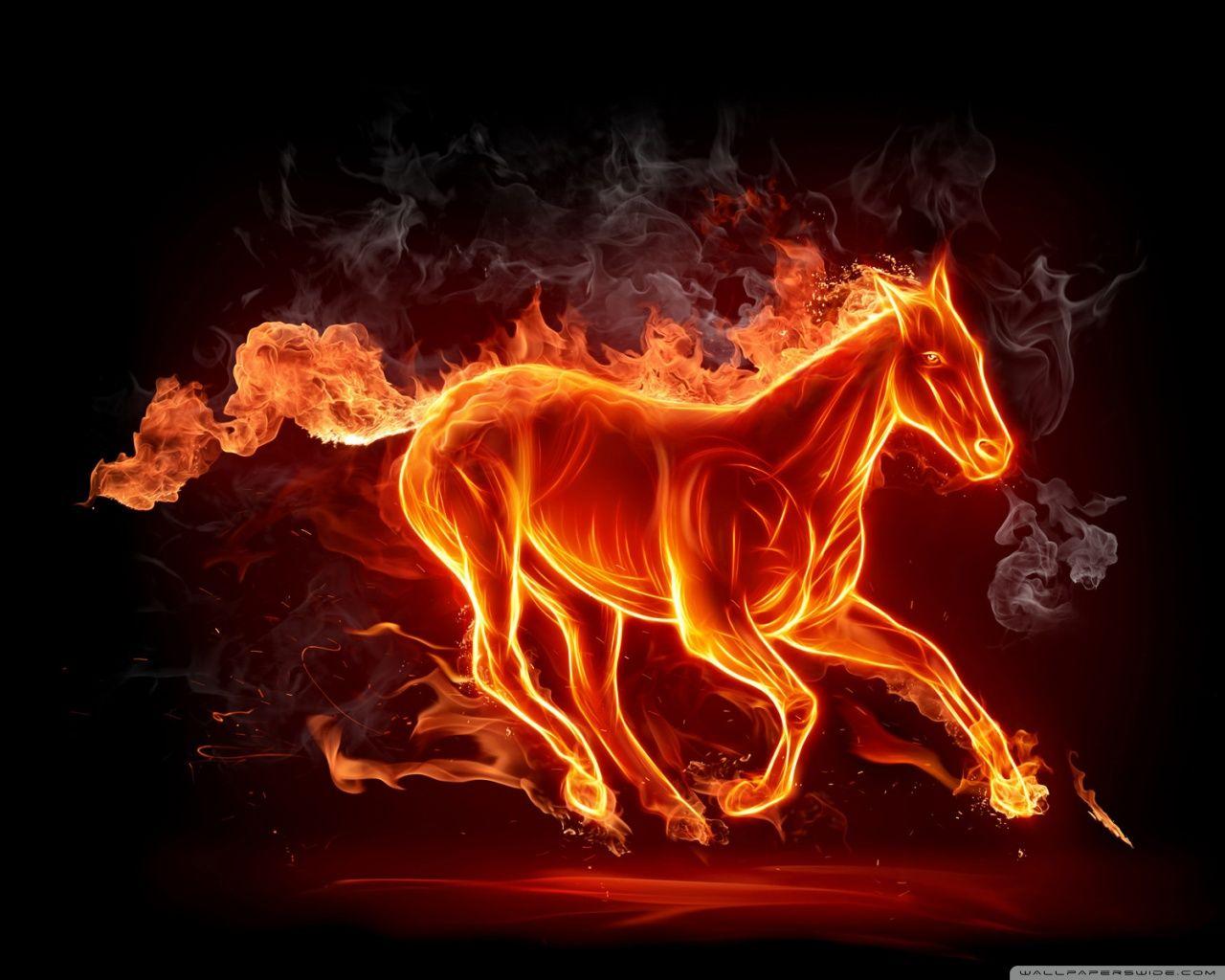 Horse Fire ❤ 4K HD Desktop Wallpaper for 4K Ultra HD TV • Tablet