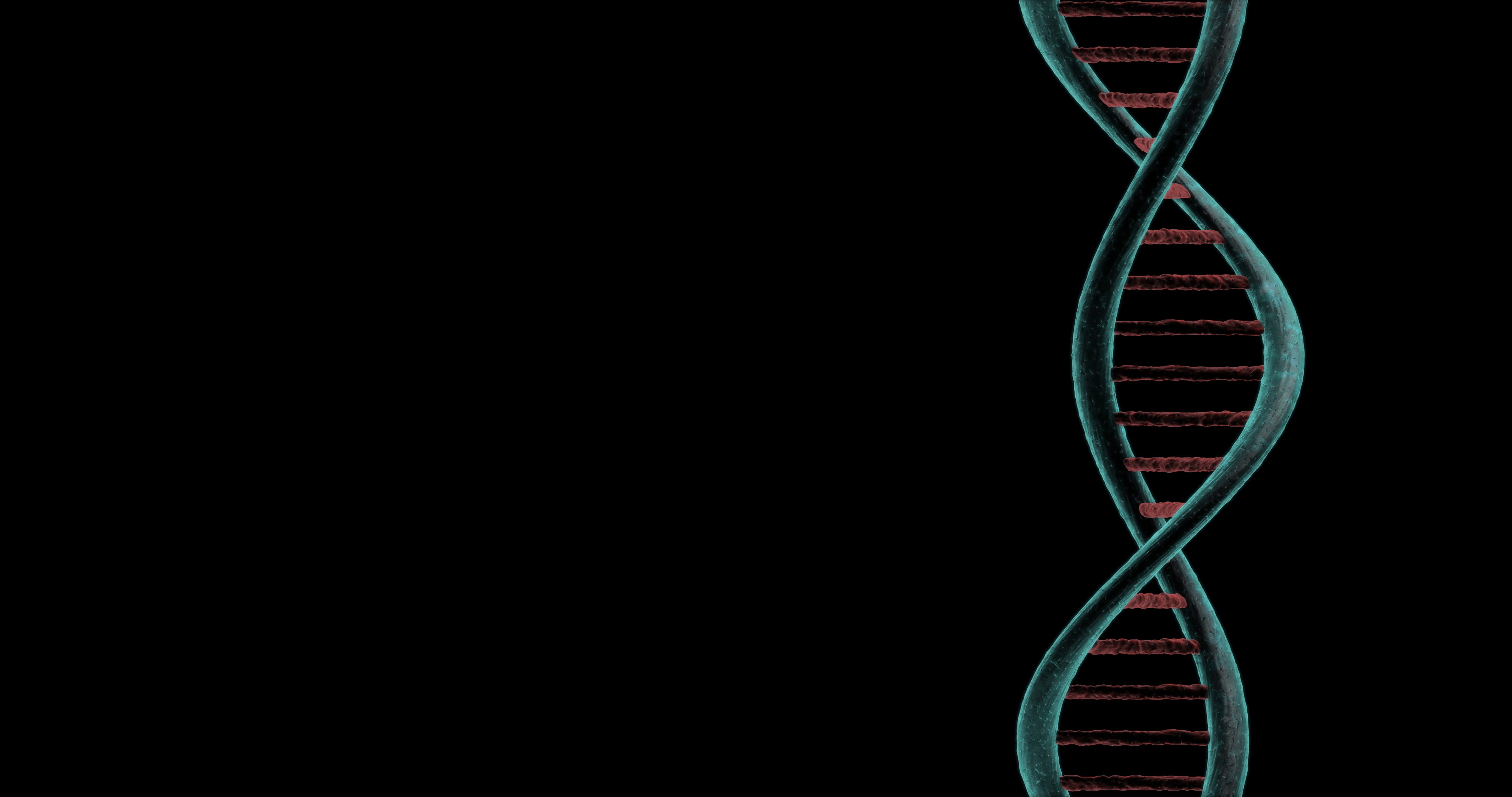 Animated DNA chain. Black background Stock Video Footage