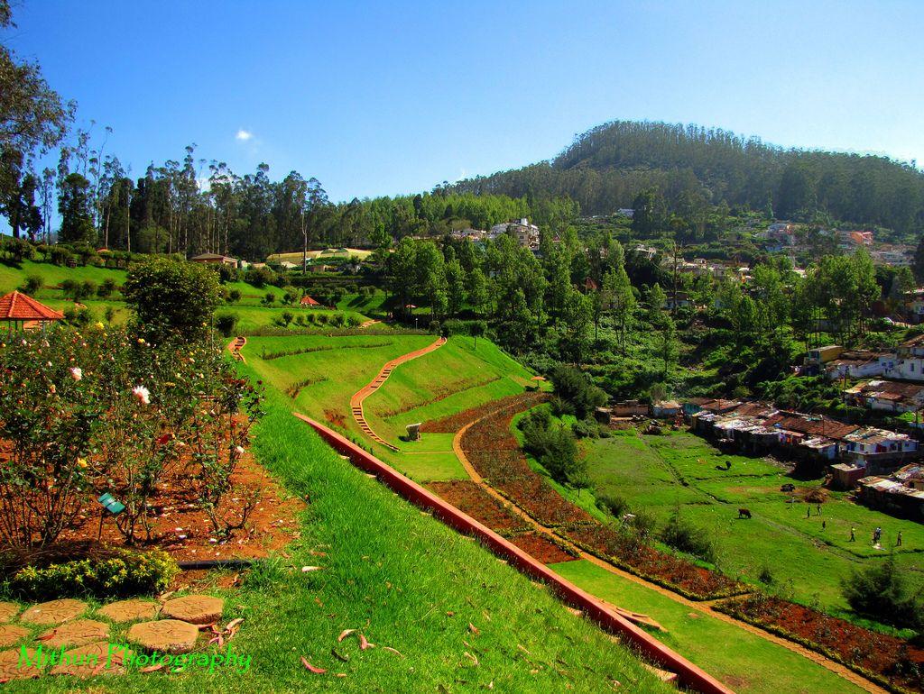 Ooty Wallpaper