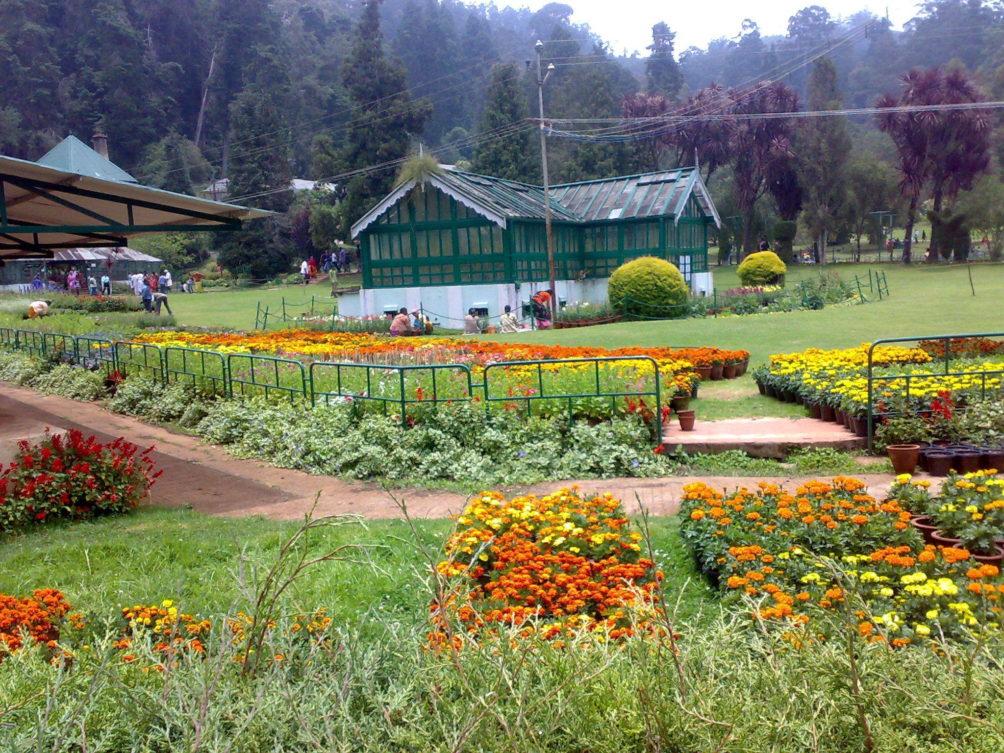 OOTY BOTANICAL GARDENS Photo, Image and Wallpaper