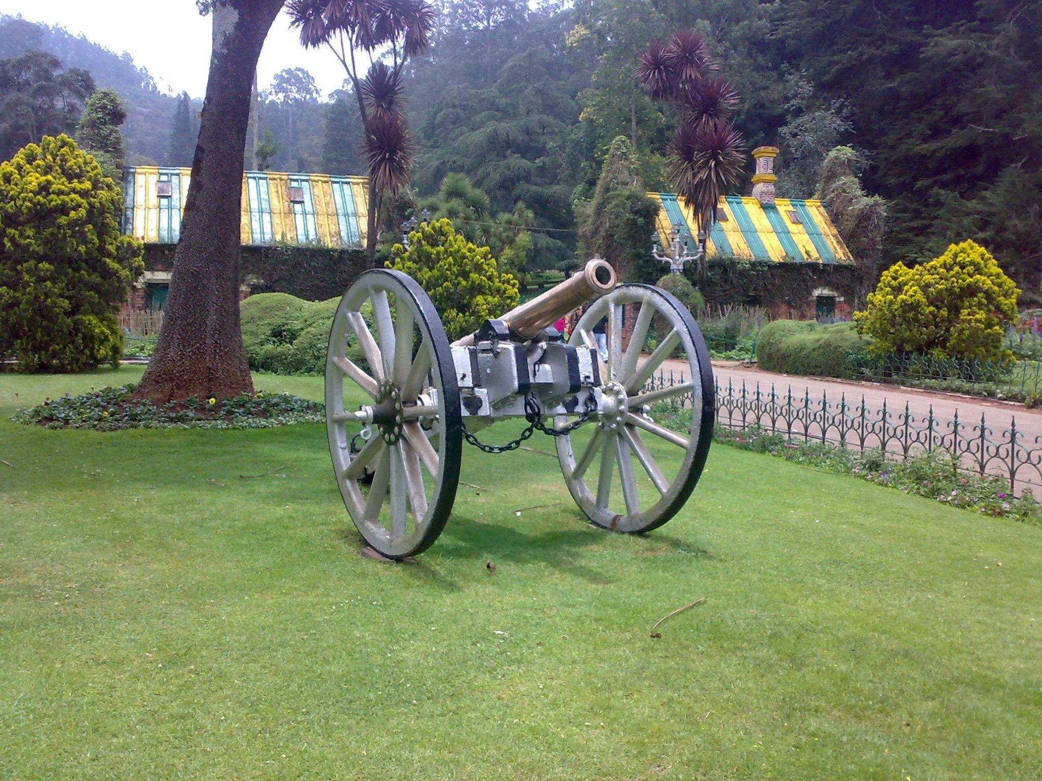 Download Ooty Estate wallpaper to your cell phone estate nature