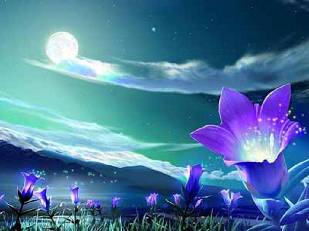 HD Background Free Download