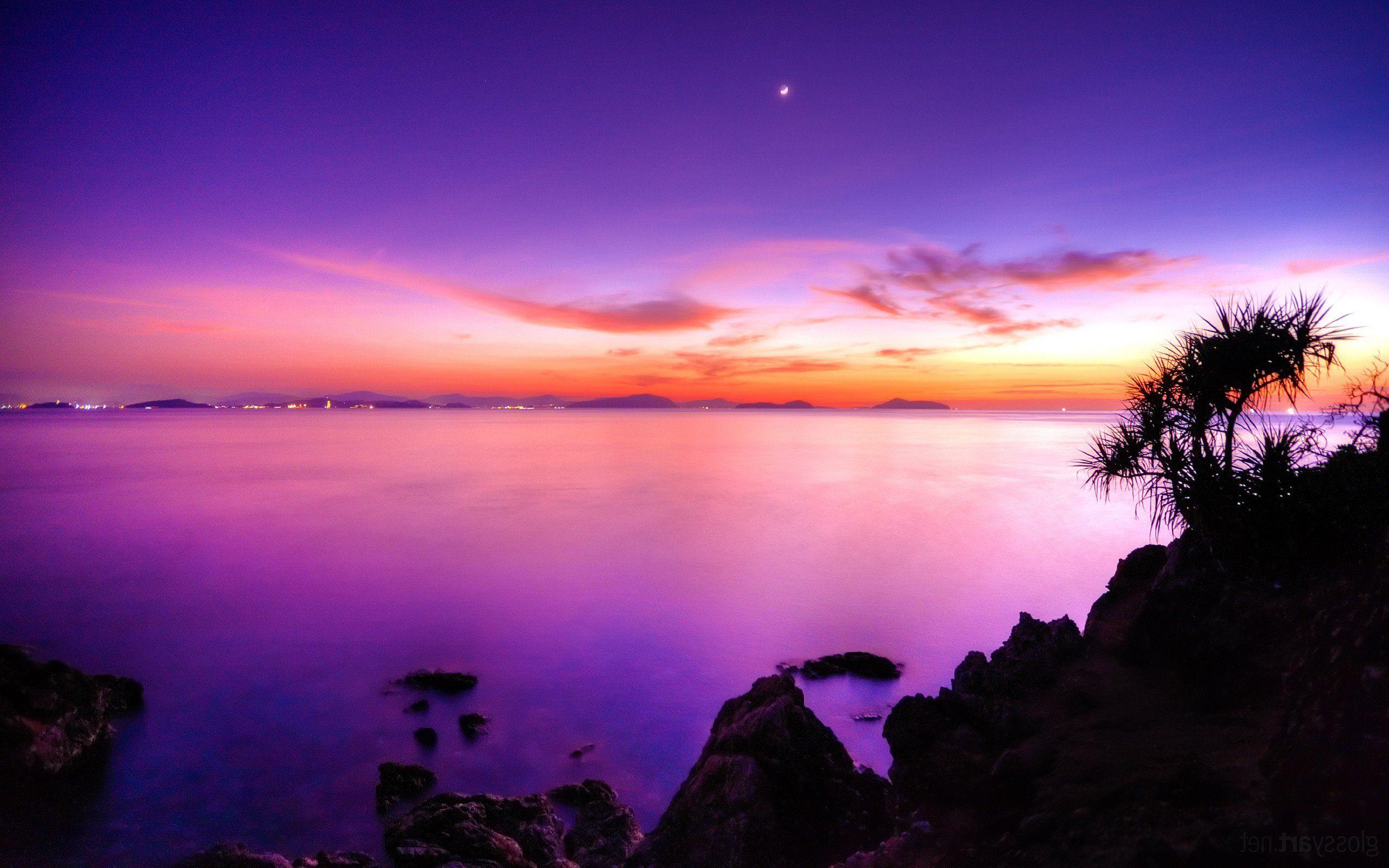 Pink Sunset, HD Nature, 4k Wallpaper, Image, Background, Photo