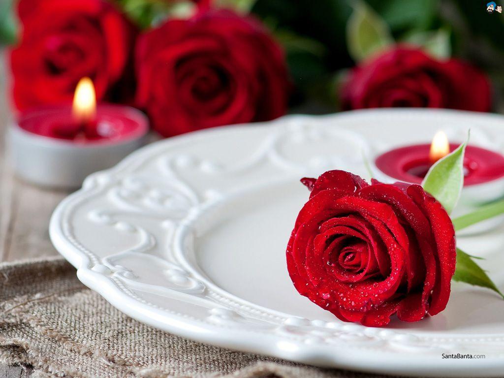 Valentines day chocolate hearts Red Rose image Wallpaper Hd :  Wallpapers13.com
