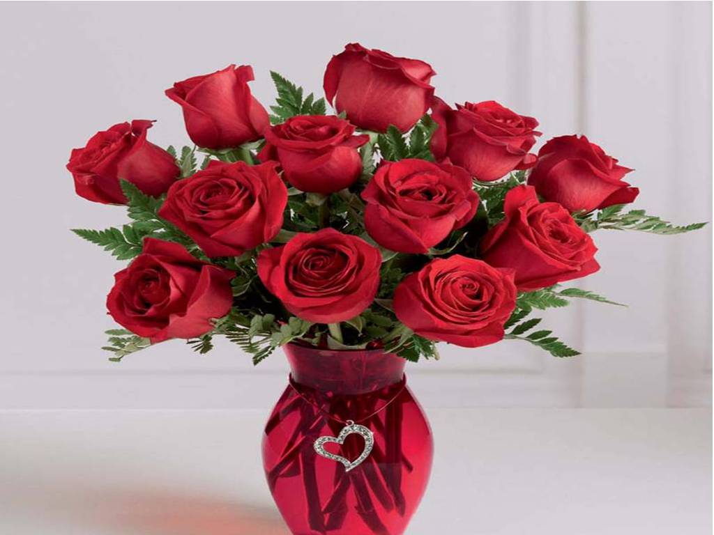Cool Daily Pics: Only Red Roses High Quality Wallpaper
