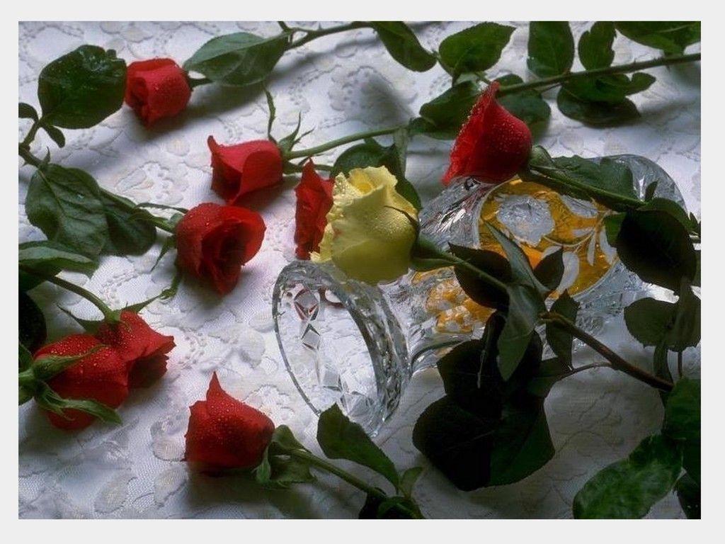 Romantic Red Rose Love HD Wallpaper Red Romantic 1024x768
