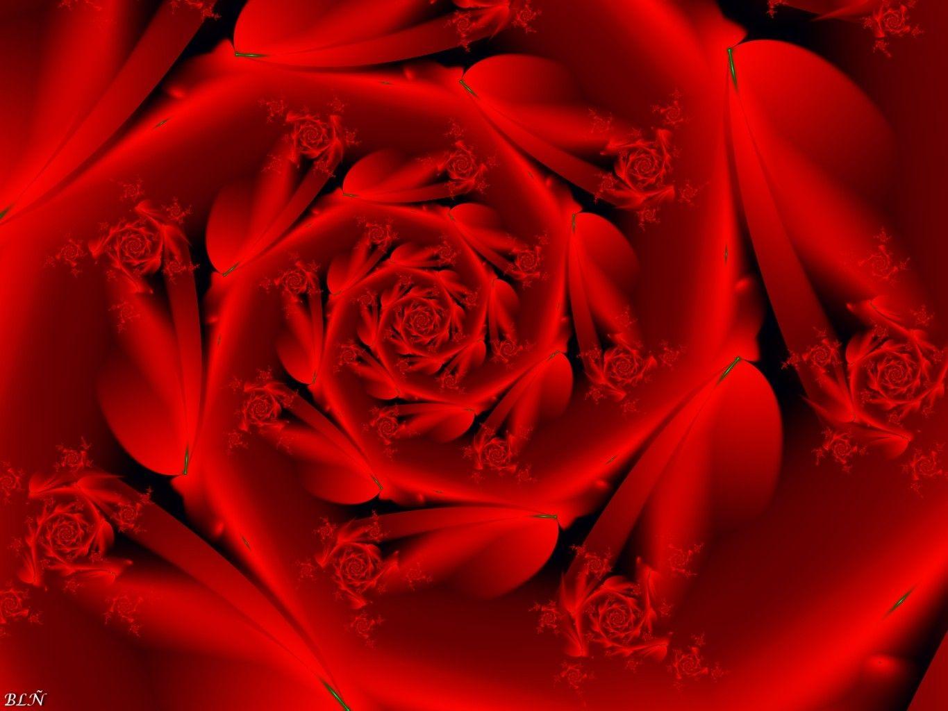 Flowers: Passion Love Scarlet Rose Red Flower Wallpaper Galaxy S3