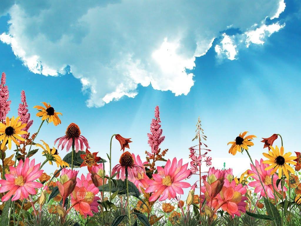 Field Flowers Sky Pink Garden Clouds Lotus Flower Wallpaper iPhone 6