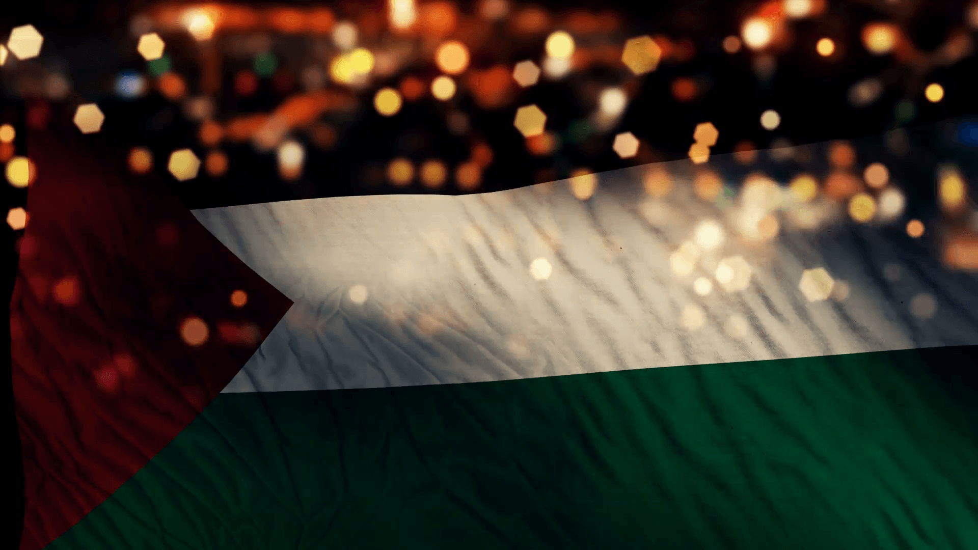 Palestine Flag Light Night Bokeh Abstract Loop Animation Motion