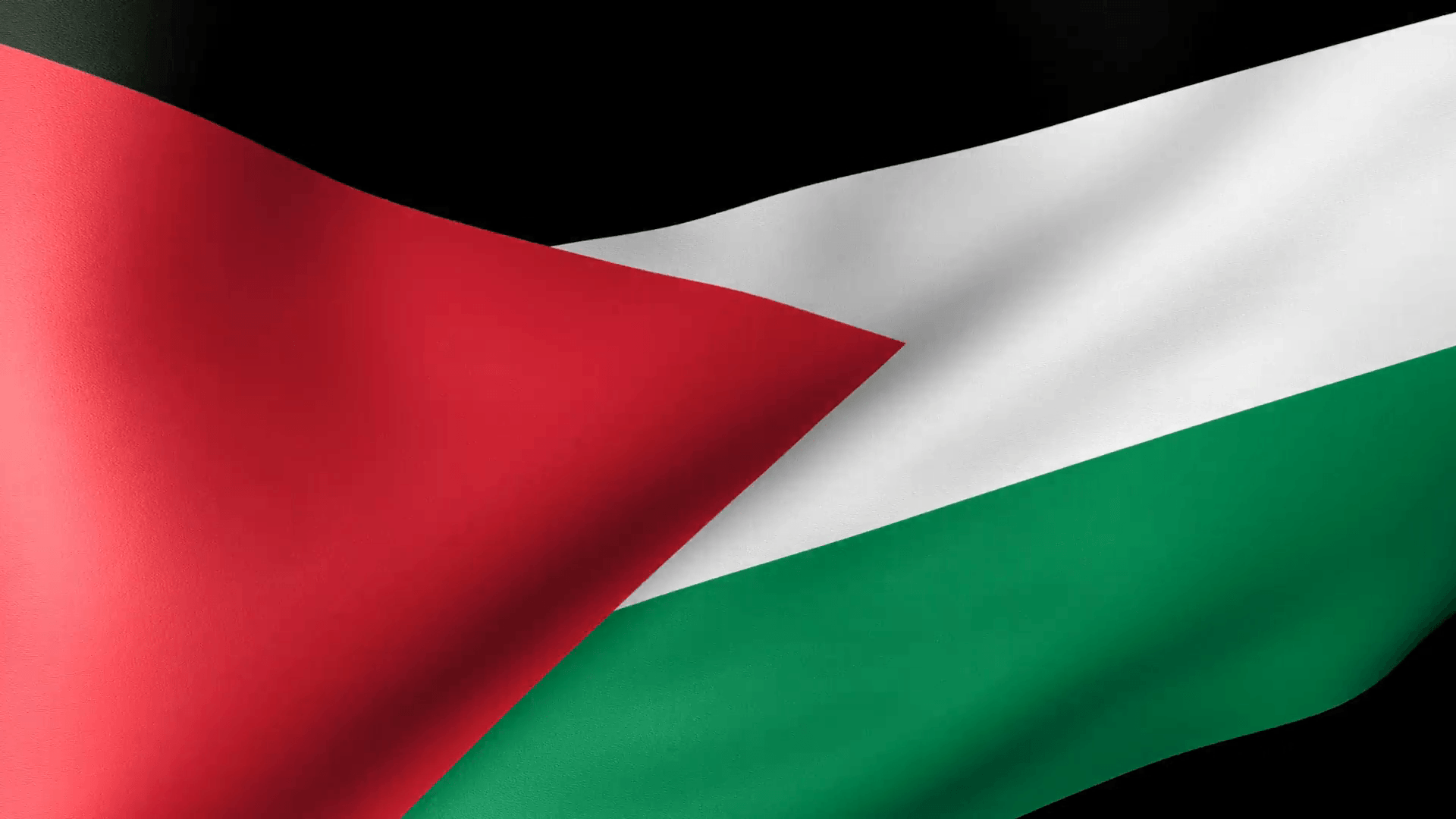 Palestine Flag Waving Motion Background