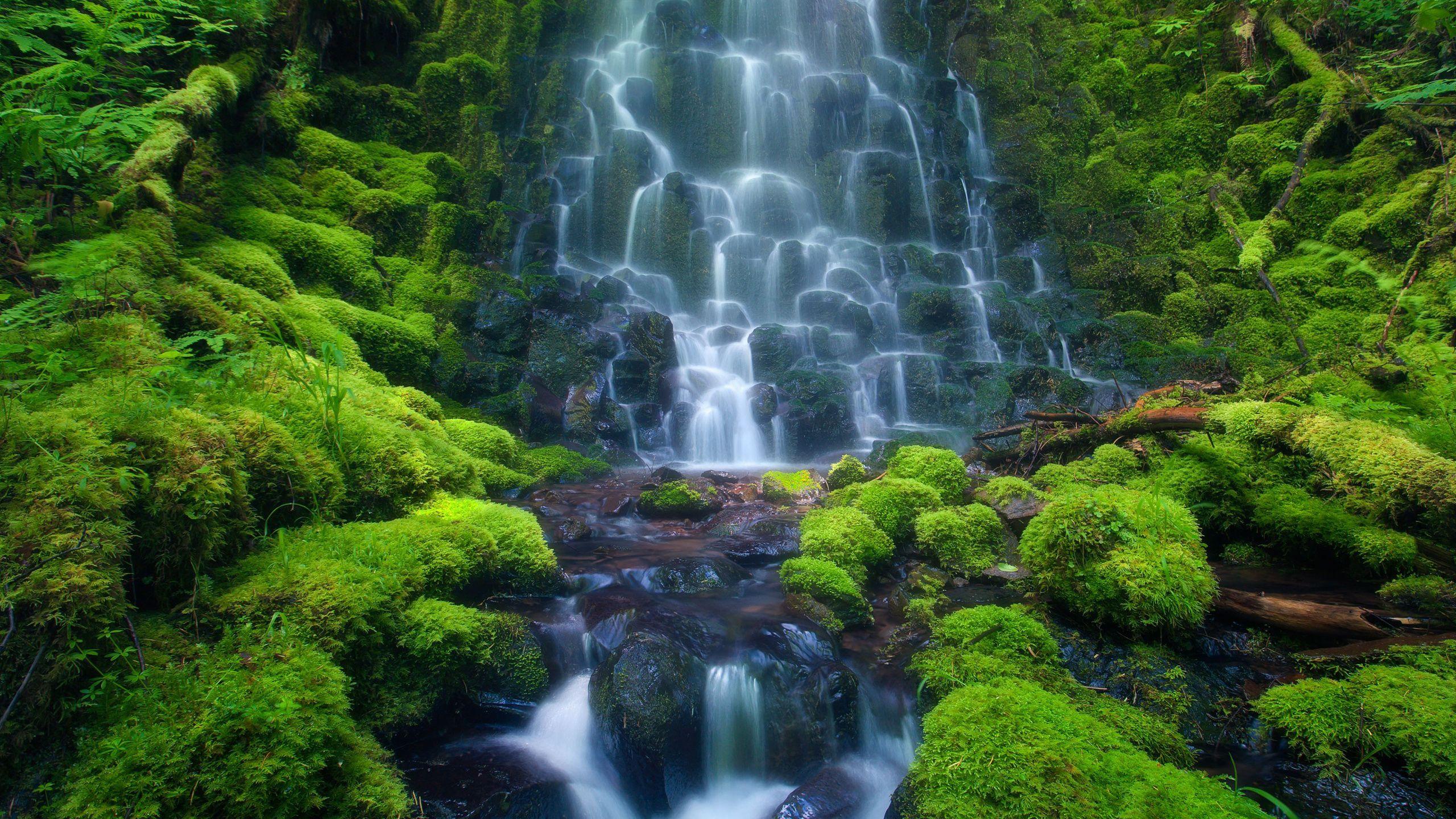 Amazon Rainforest Waterfall HD Desktop Wallpaper, Instagram photo