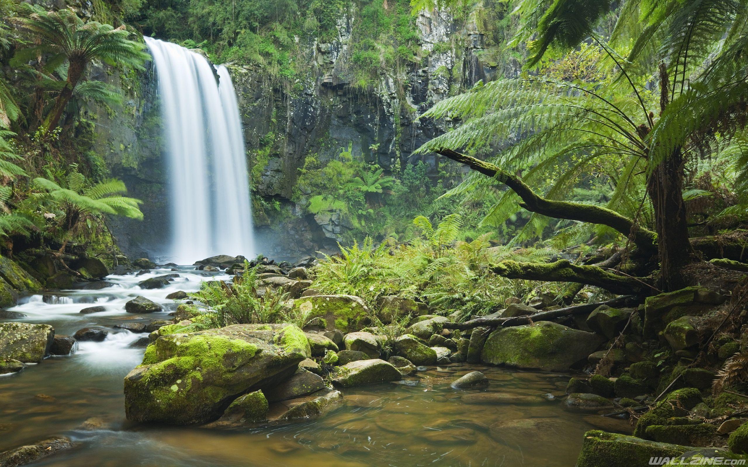 Rainforest Waterfall Wallpapers